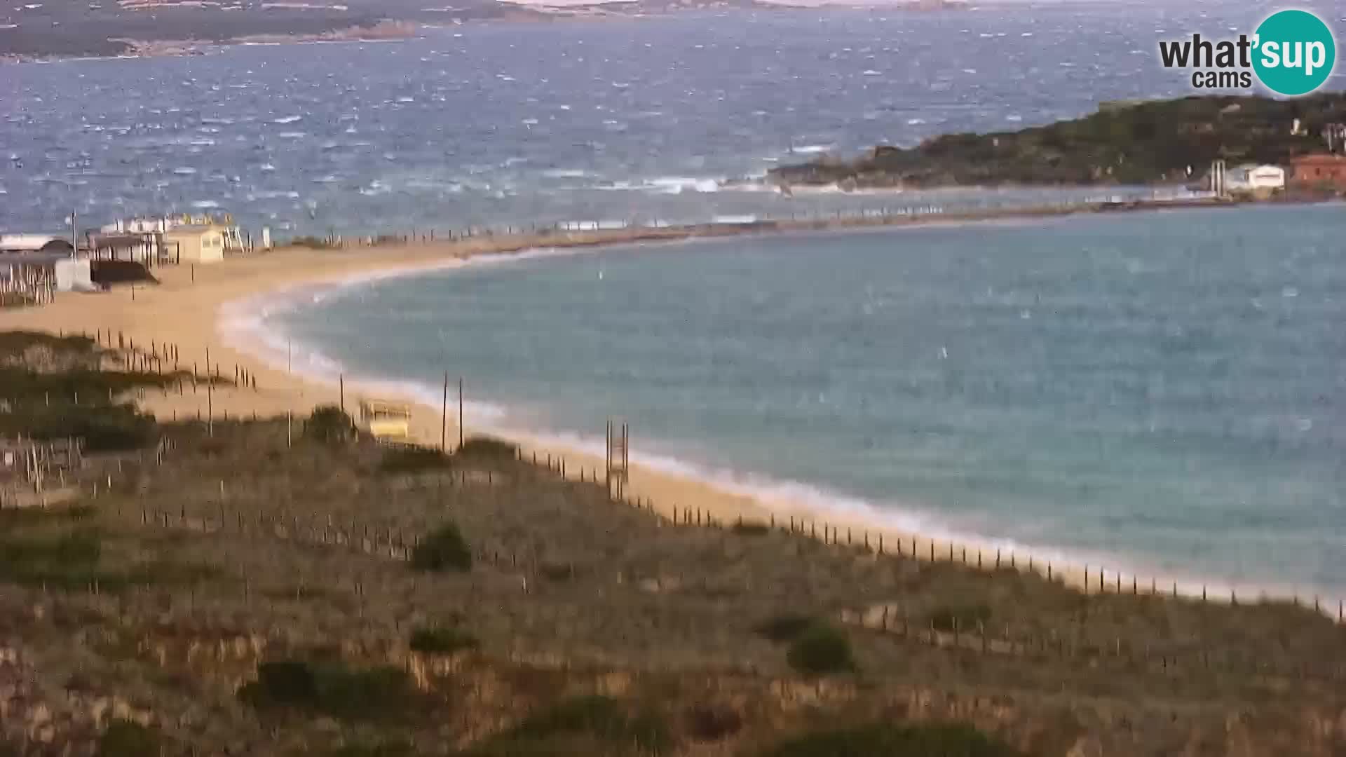 Camera en vivo Porto Pollo playa Cerdeña