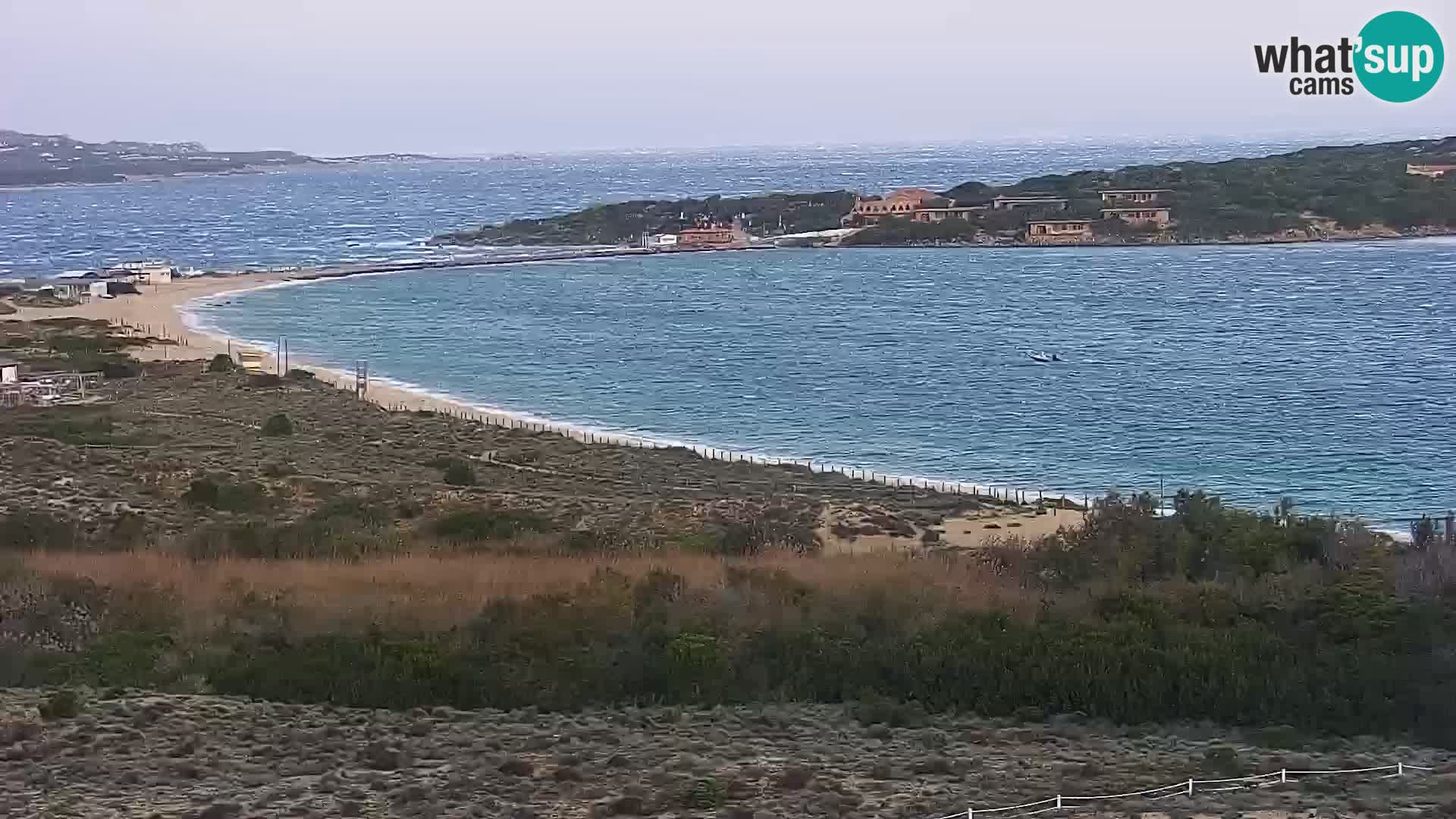 Camera en vivo Porto Pollo playa Cerdeña