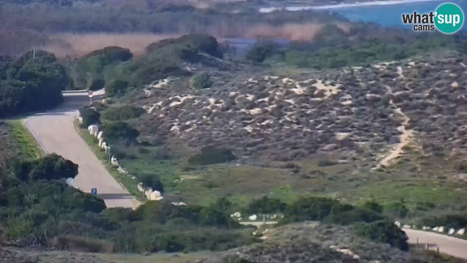 Webcam Porto Pollo le Dune | spiaggia Sardegna