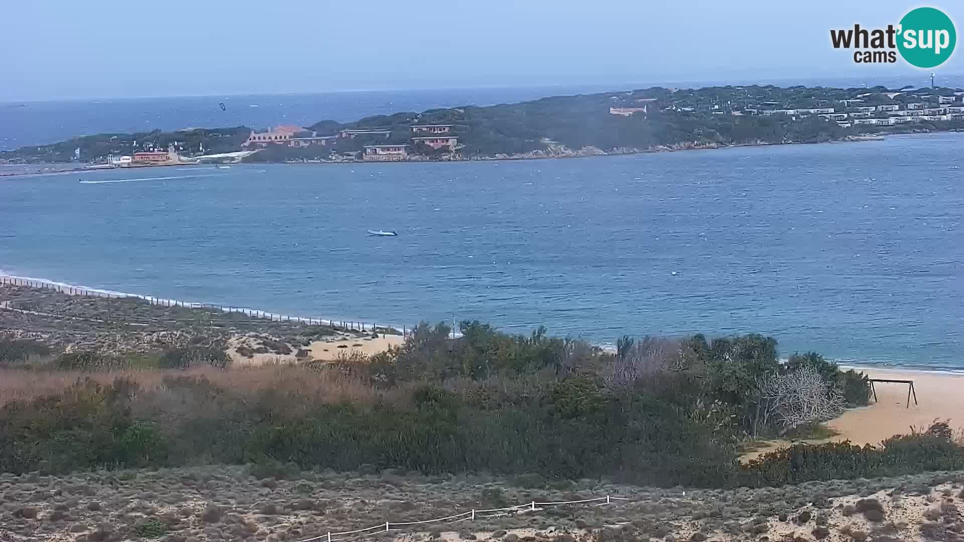 Camera en vivo Porto Pollo playa Cerdeña