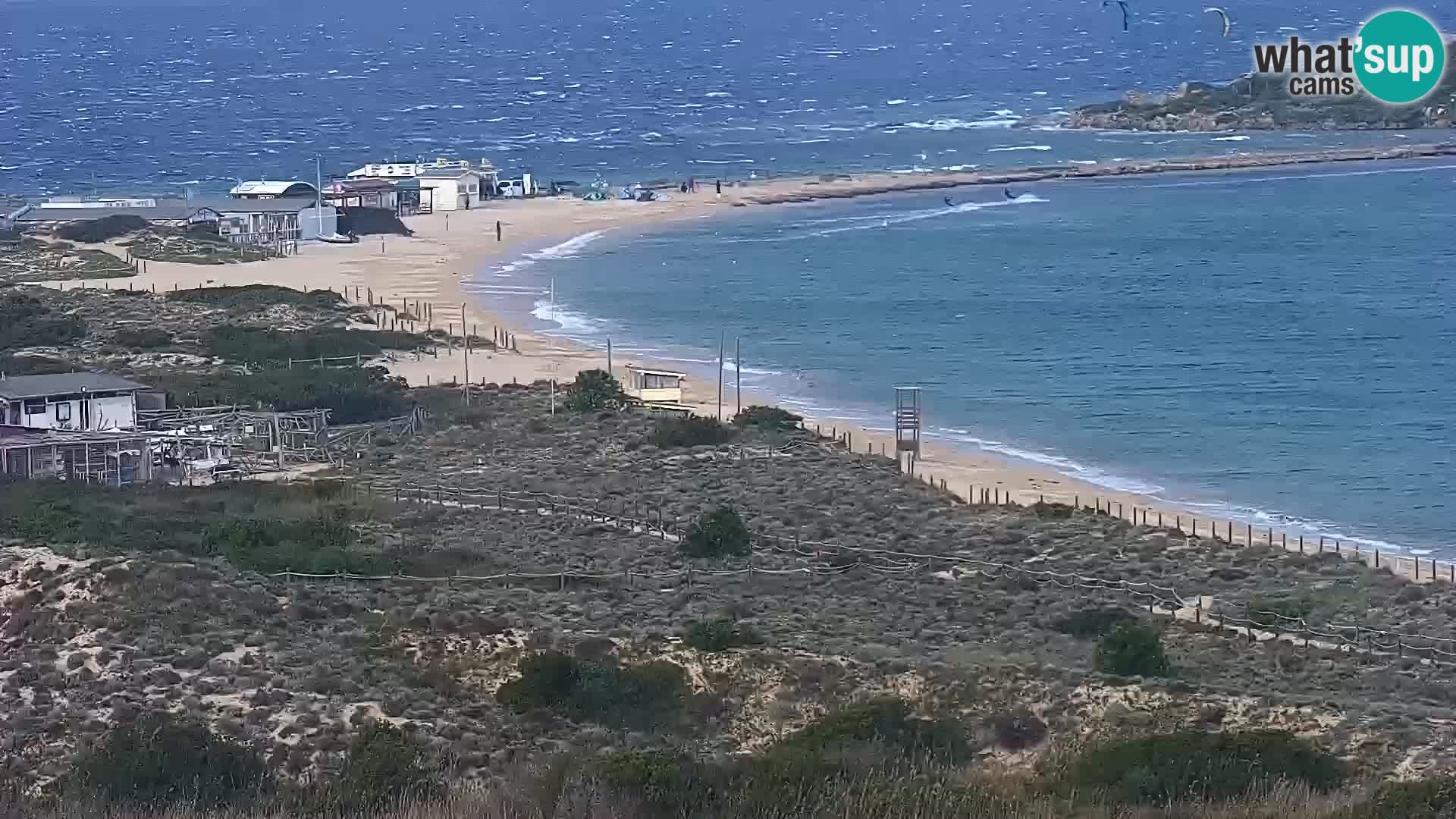 Camera en vivo Porto Pollo playa Cerdeña