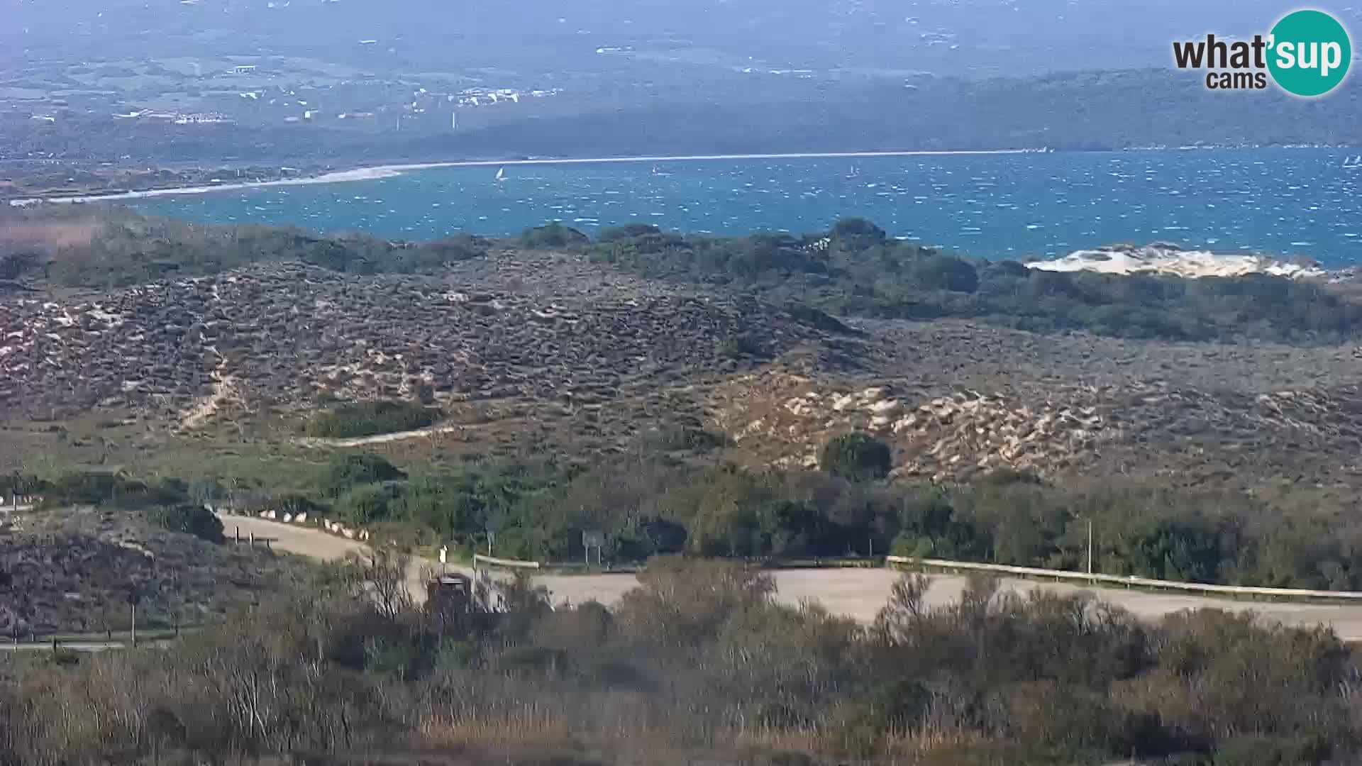 Camera en vivo Porto Pollo playa Cerdeña