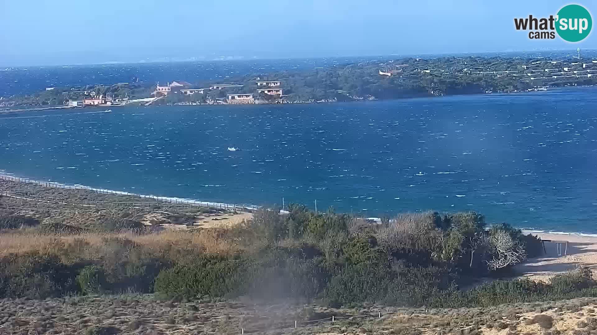 Camera en vivo Porto Pollo playa Cerdeña