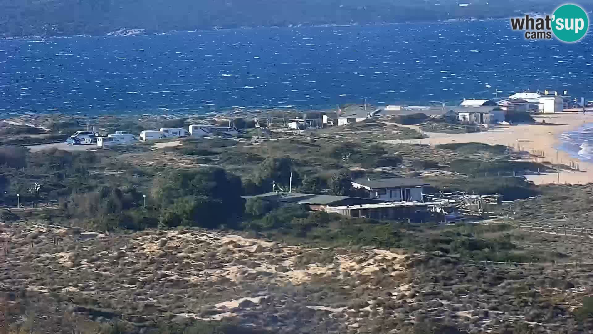 Camera en vivo Porto Pollo playa Cerdeña