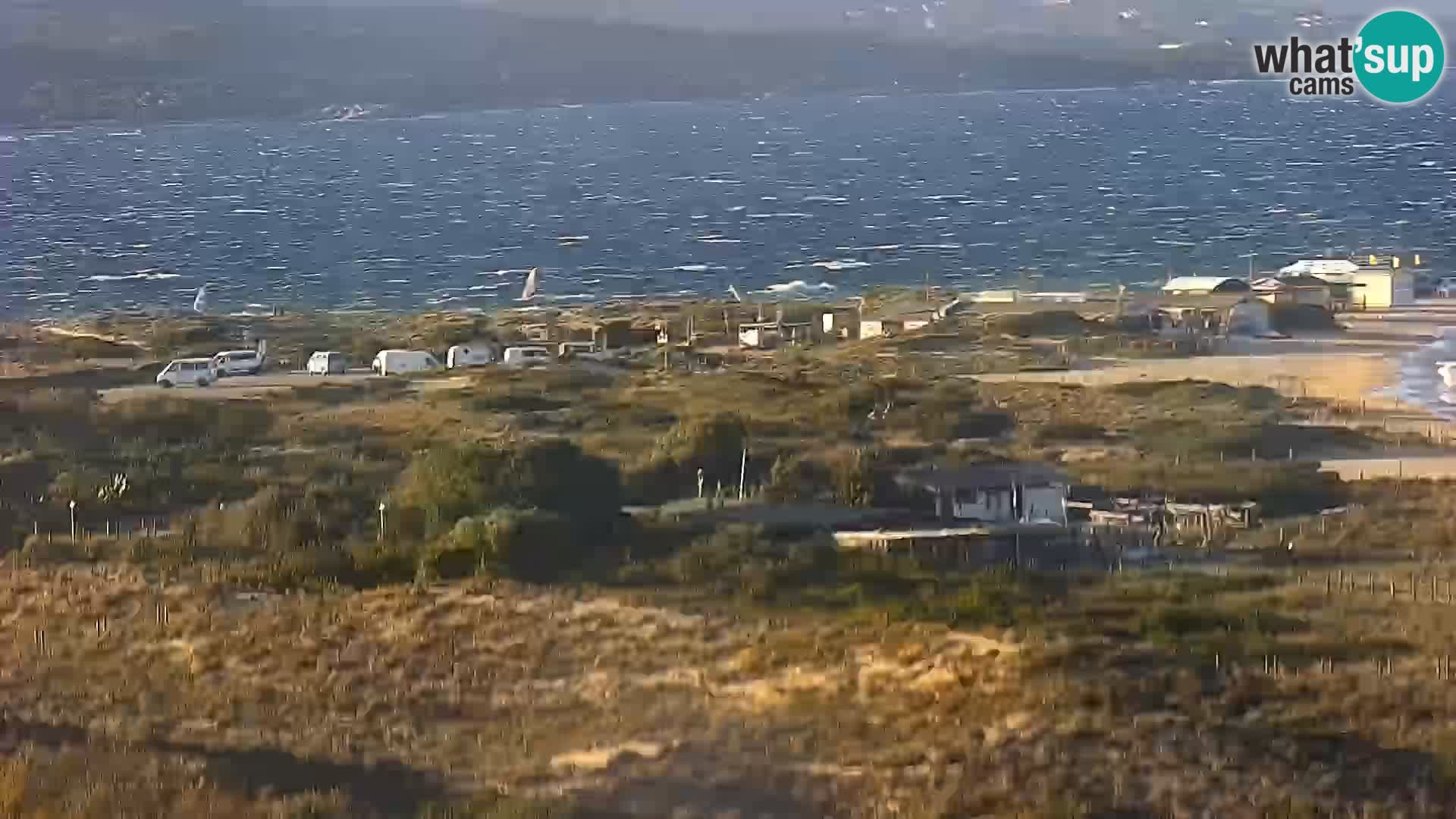 Camera en vivo Porto Pollo playa Cerdeña