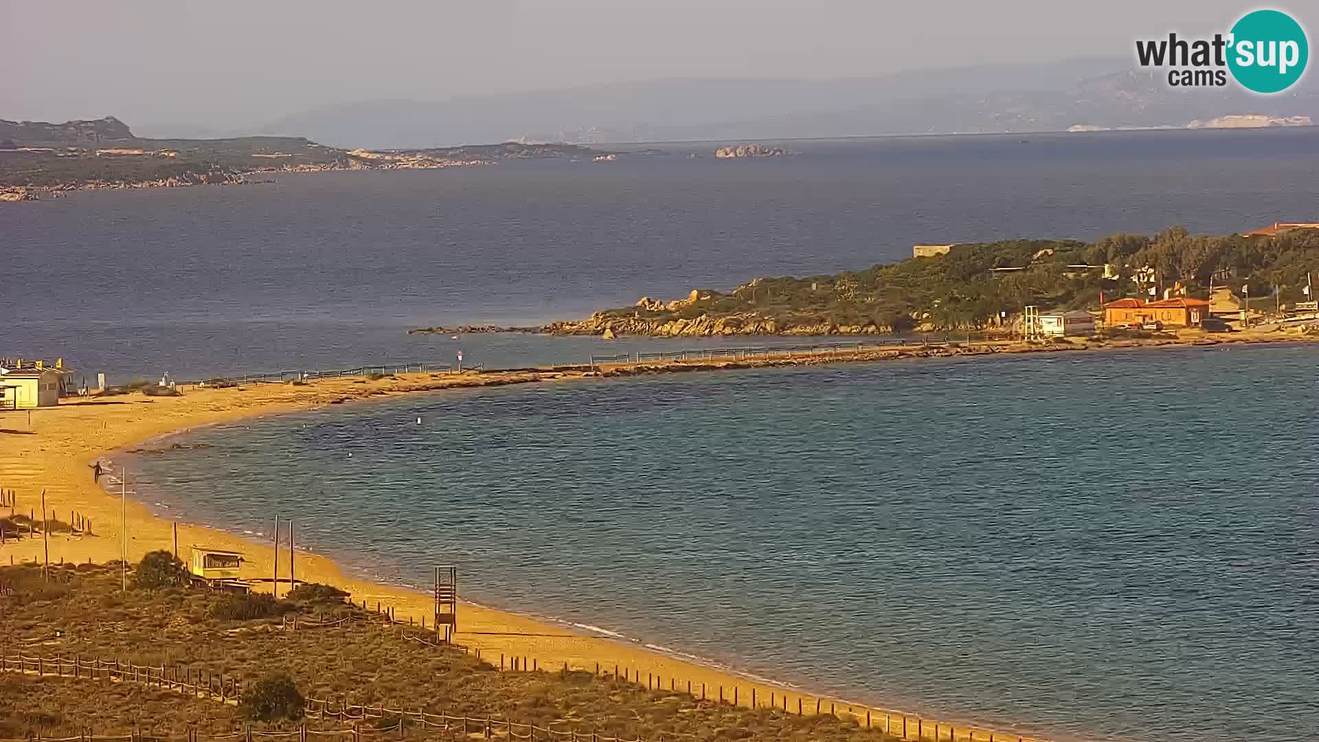 Camera en vivo Porto Pollo playa Cerdeña