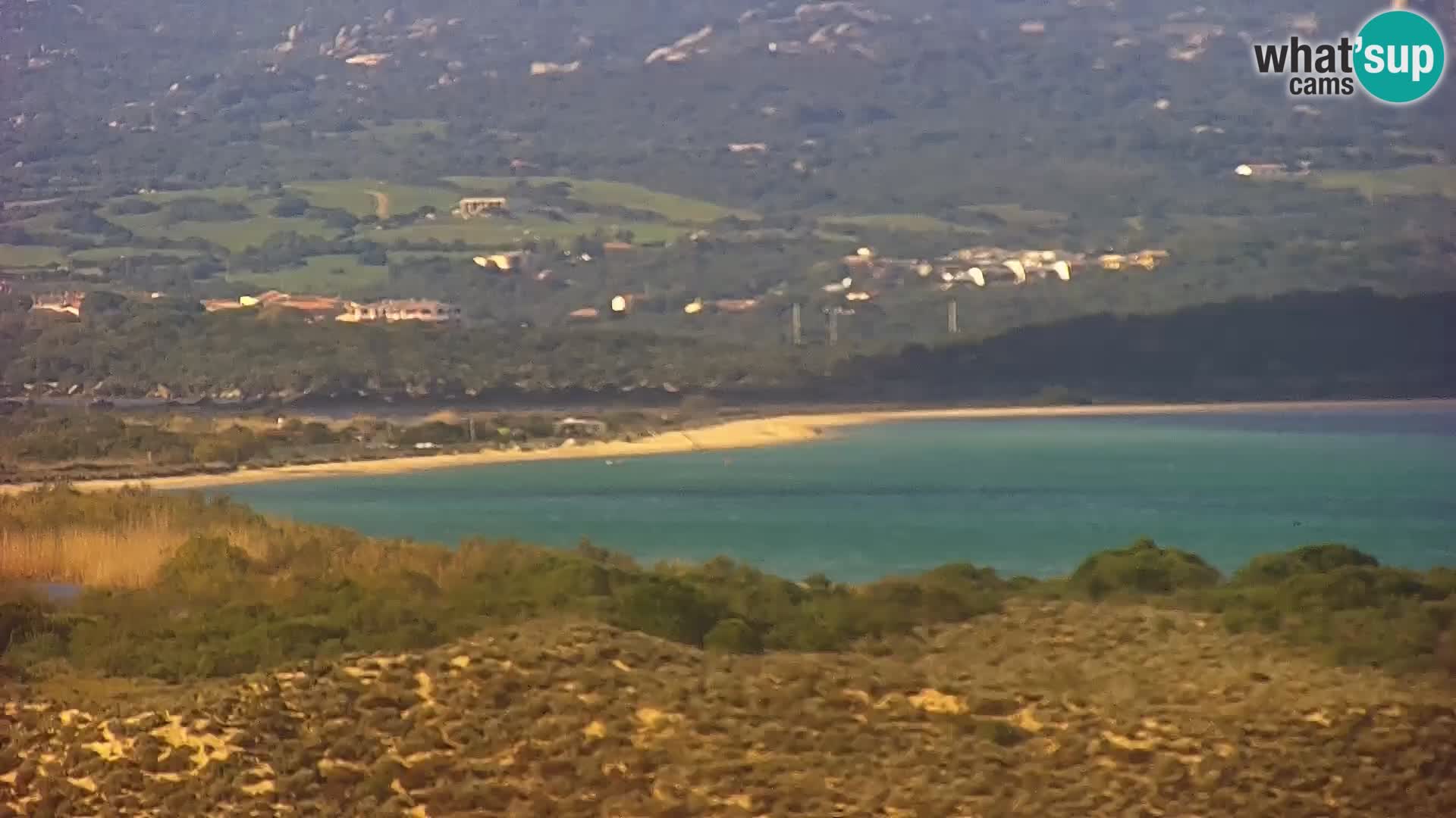 Camera en vivo Porto Pollo playa Cerdeña