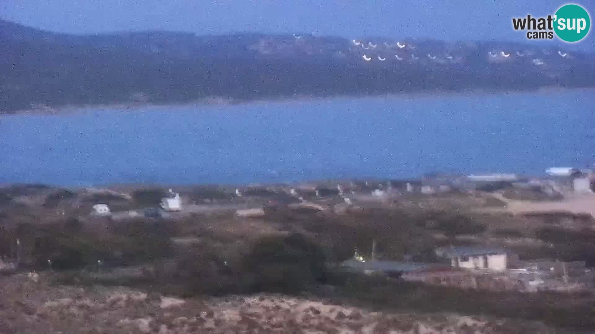 Live webcam Porto Pollo beach | Sardinia