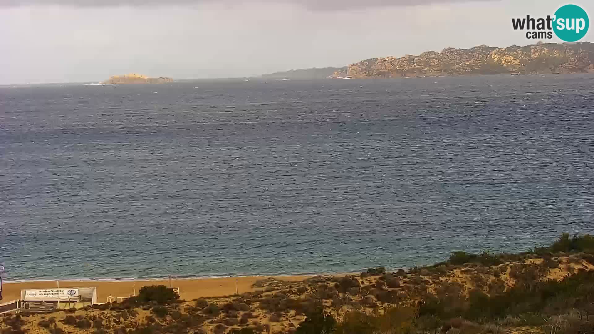 Camera en vivo Porto Pollo playa Cerdeña