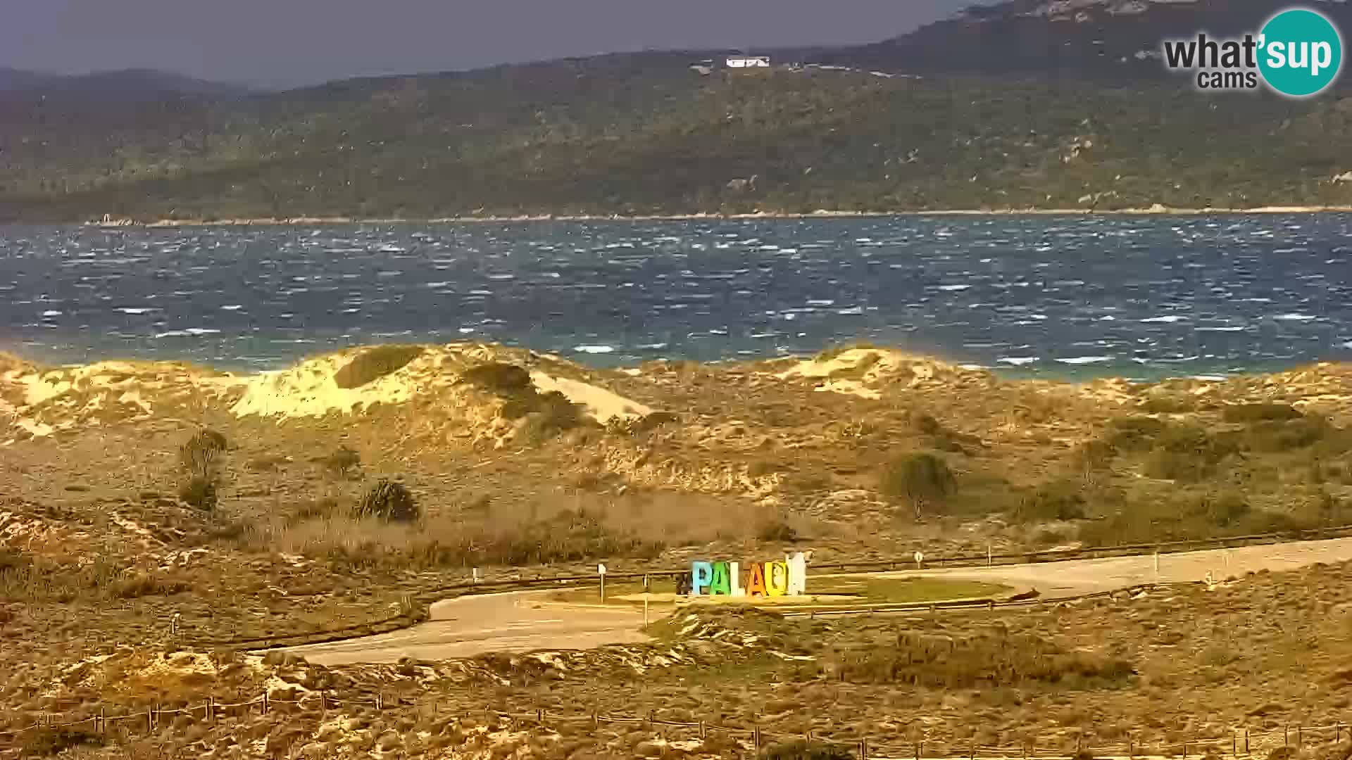 Camera en vivo Porto Pollo playa Cerdeña