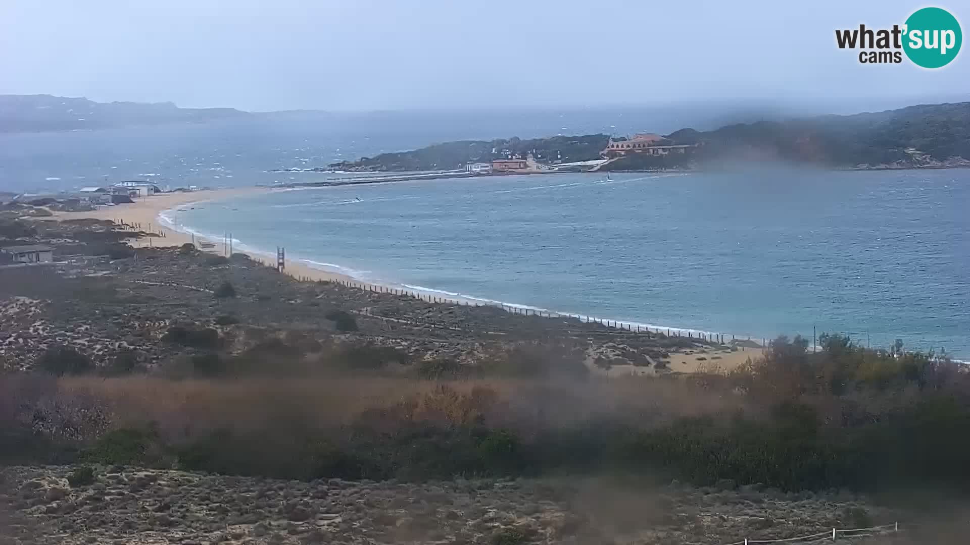 Camera en vivo Porto Pollo playa Cerdeña