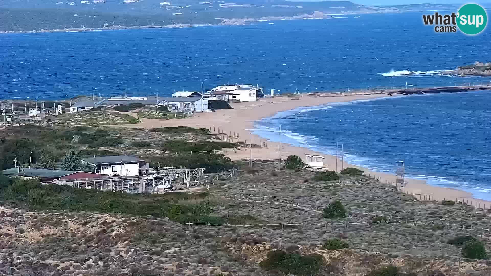 Camera en vivo Porto Pollo playa Cerdeña