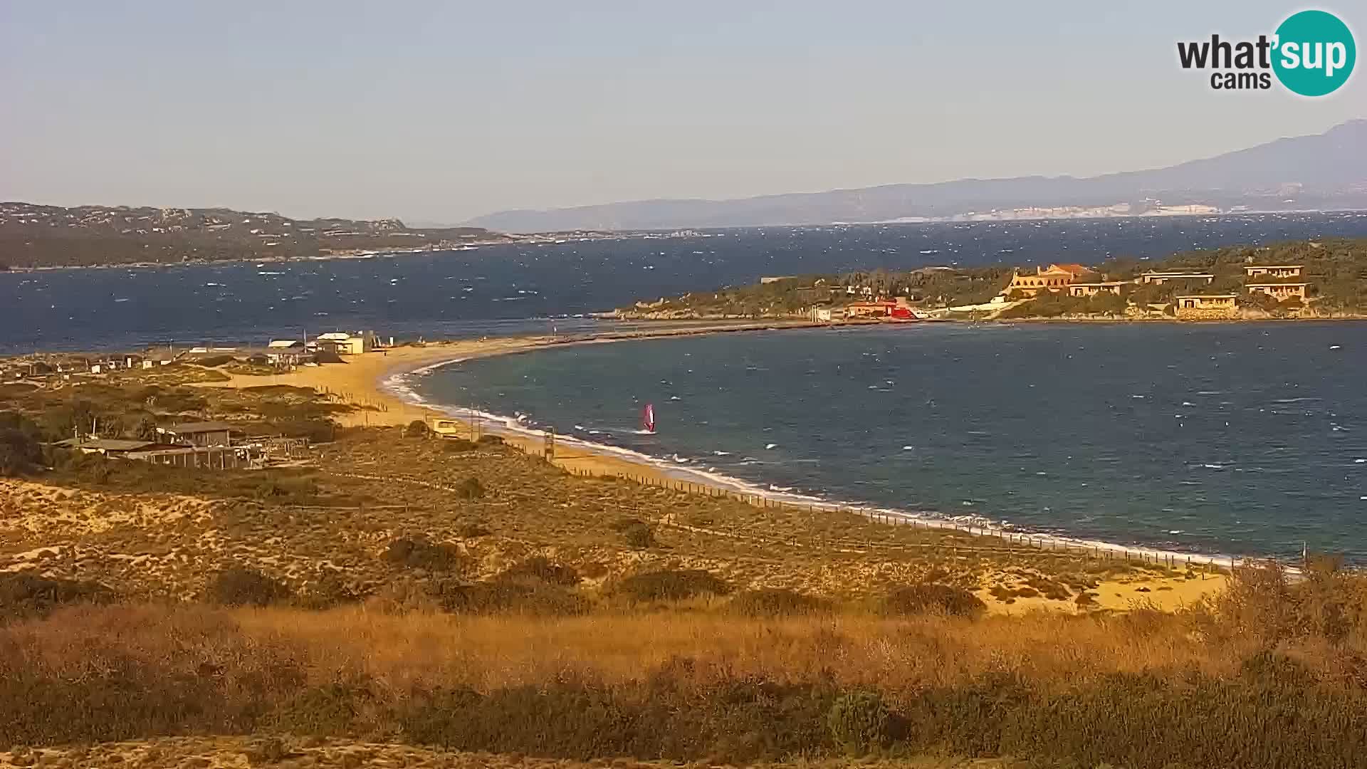 Camera en vivo Porto Pollo playa Cerdeña