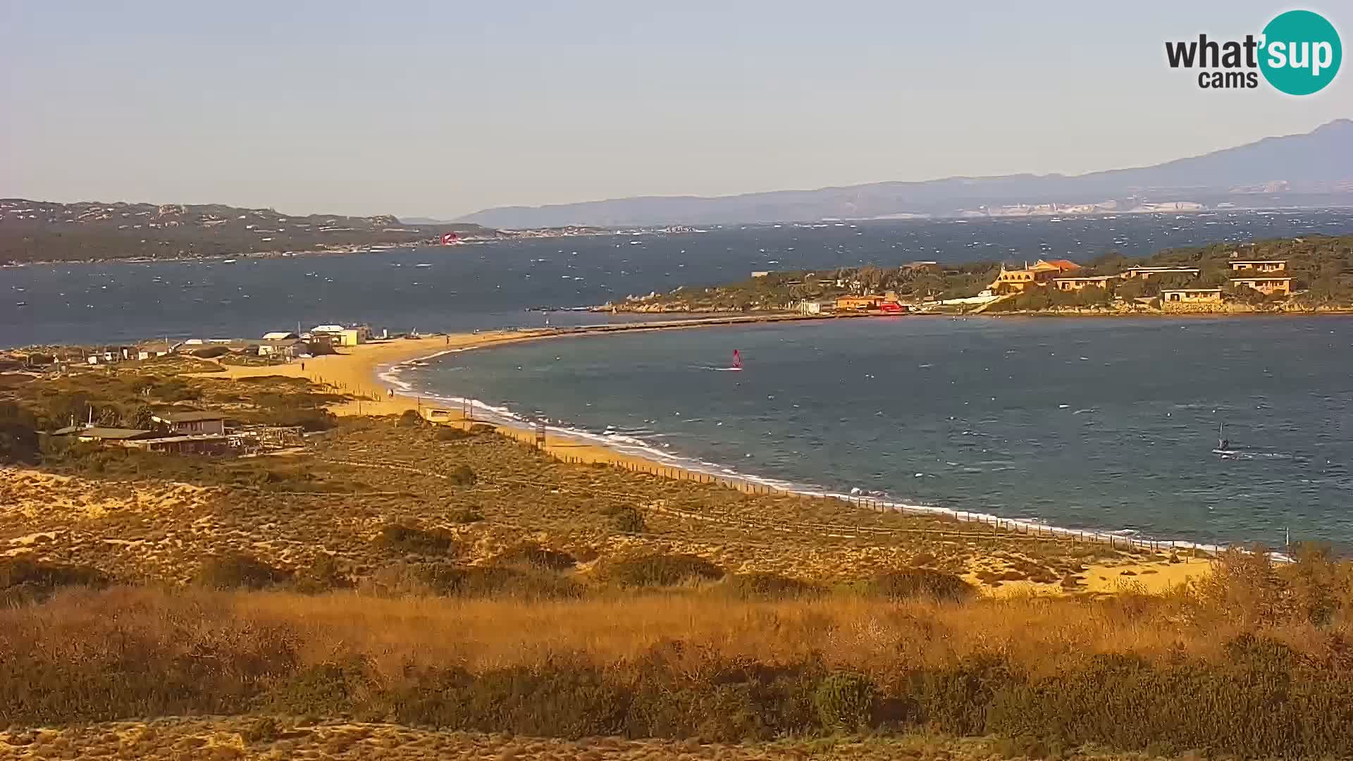 Camera en vivo Porto Pollo playa Cerdeña