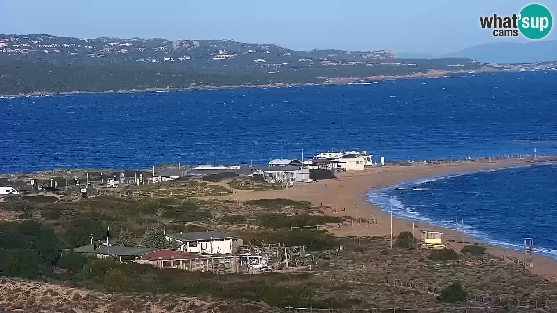 Camera en vivo Porto Pollo playa Cerdeña