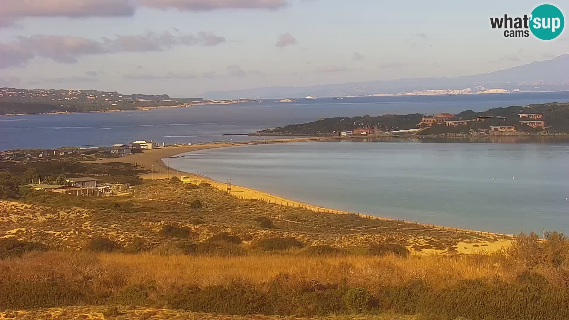 Camera en vivo Porto Pollo playa Cerdeña