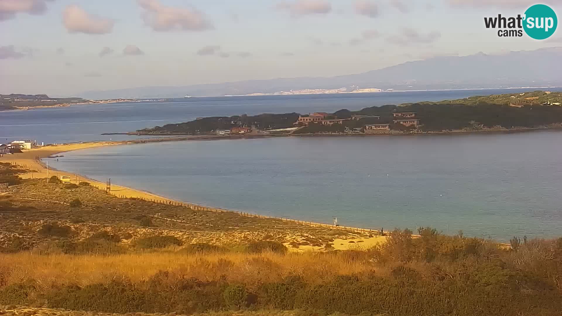 Camera en vivo Porto Pollo playa Cerdeña