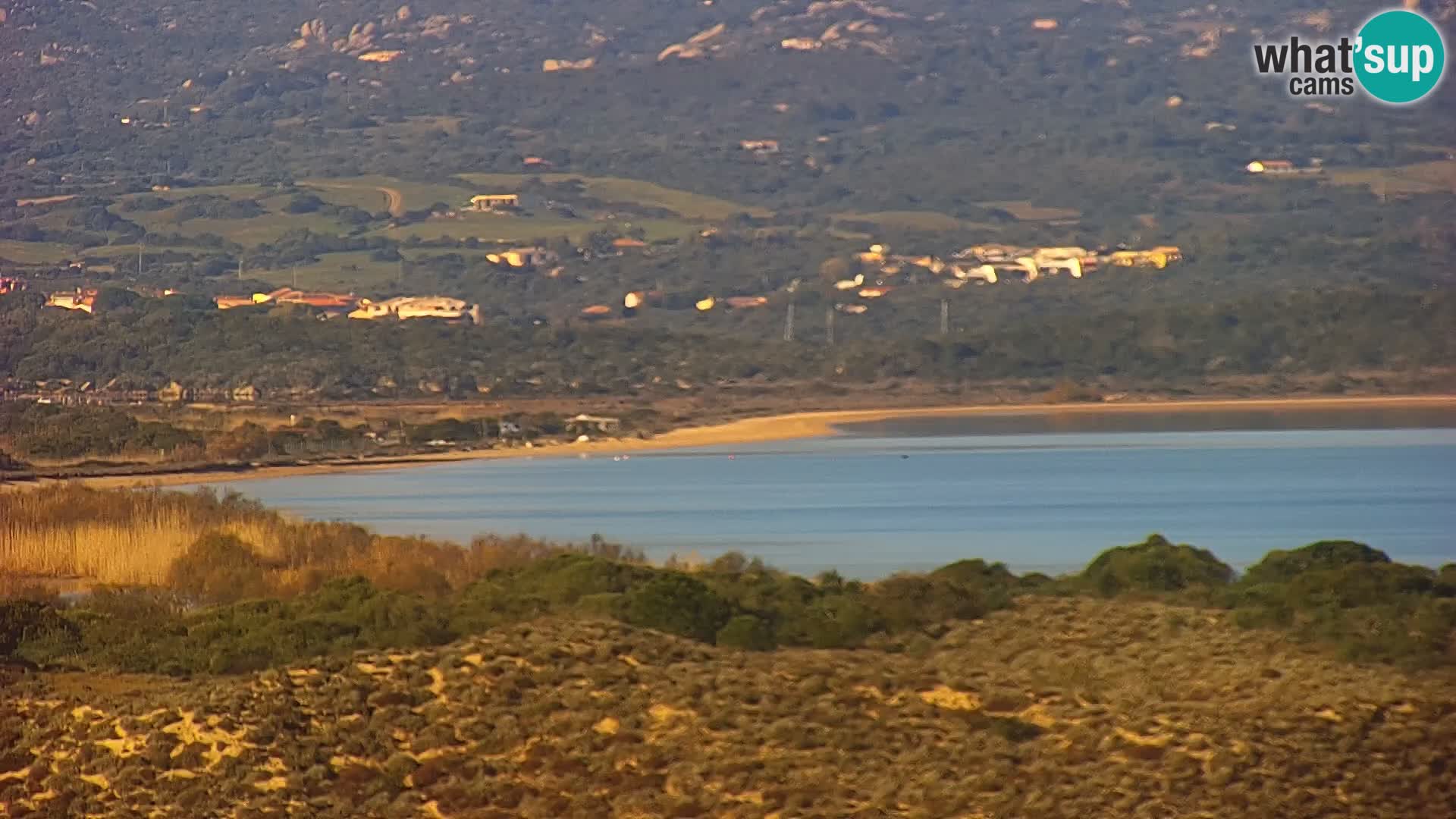 Live webcam Porto Pollo beach | Sardinia