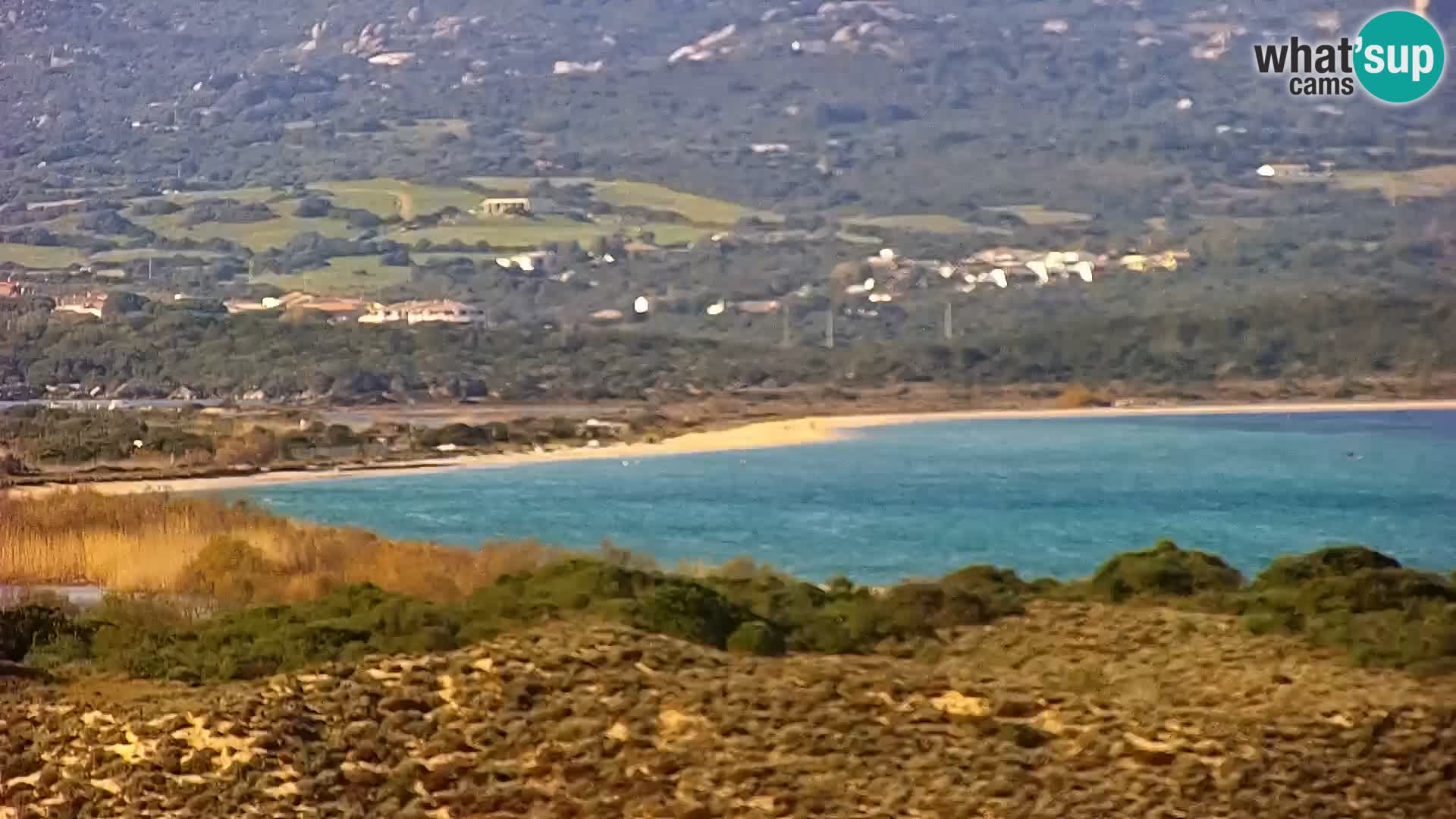 Webcam Porto Pollo le Dune | spiaggia Sardegna