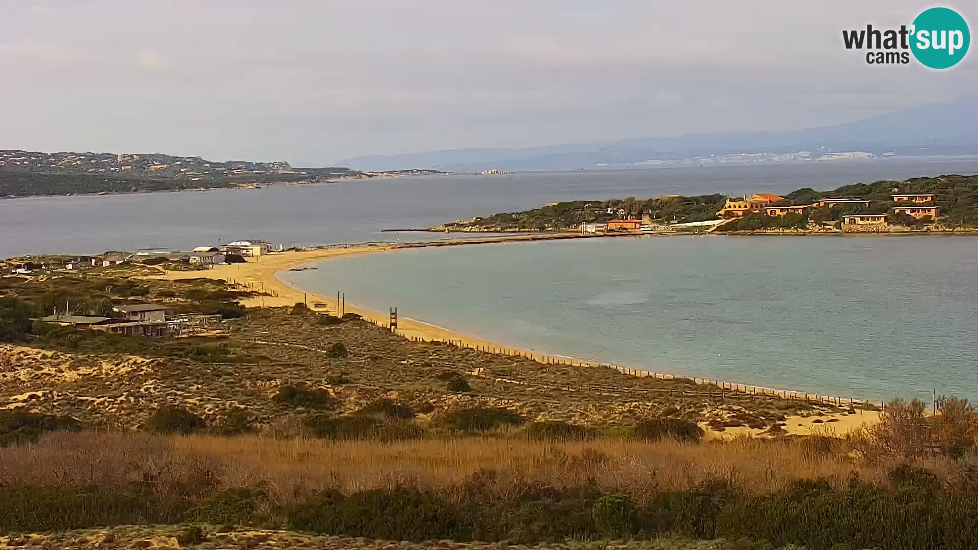 Live webcam Porto Pollo beach | Sardinia