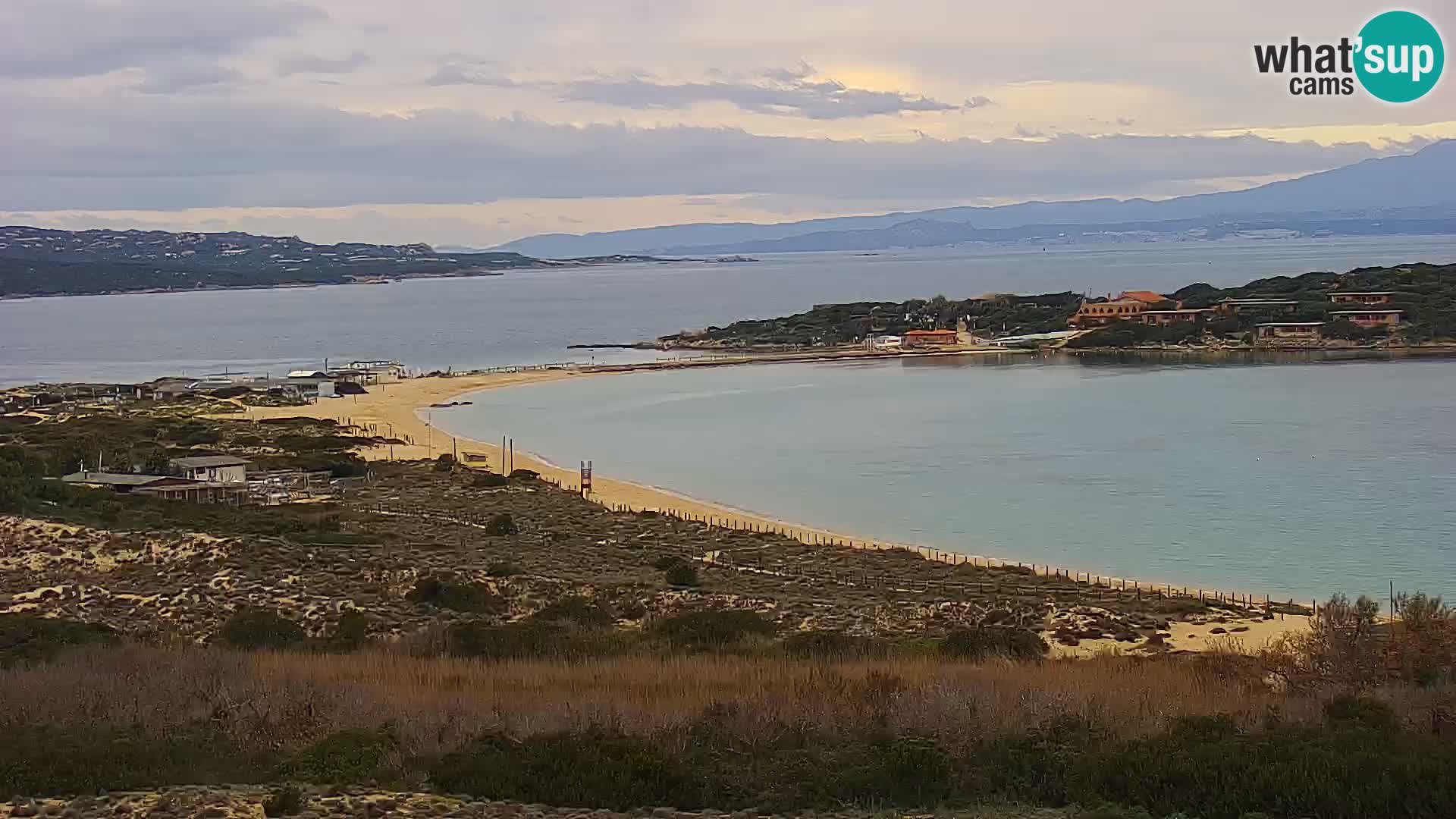 Live webcam Porto Pollo beach | Sardinia