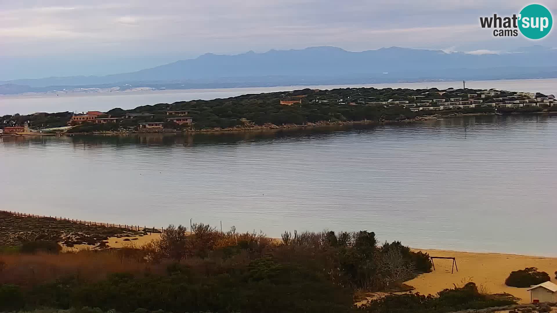 Webcam Porto Pollo le Dune | spiaggia Sardegna