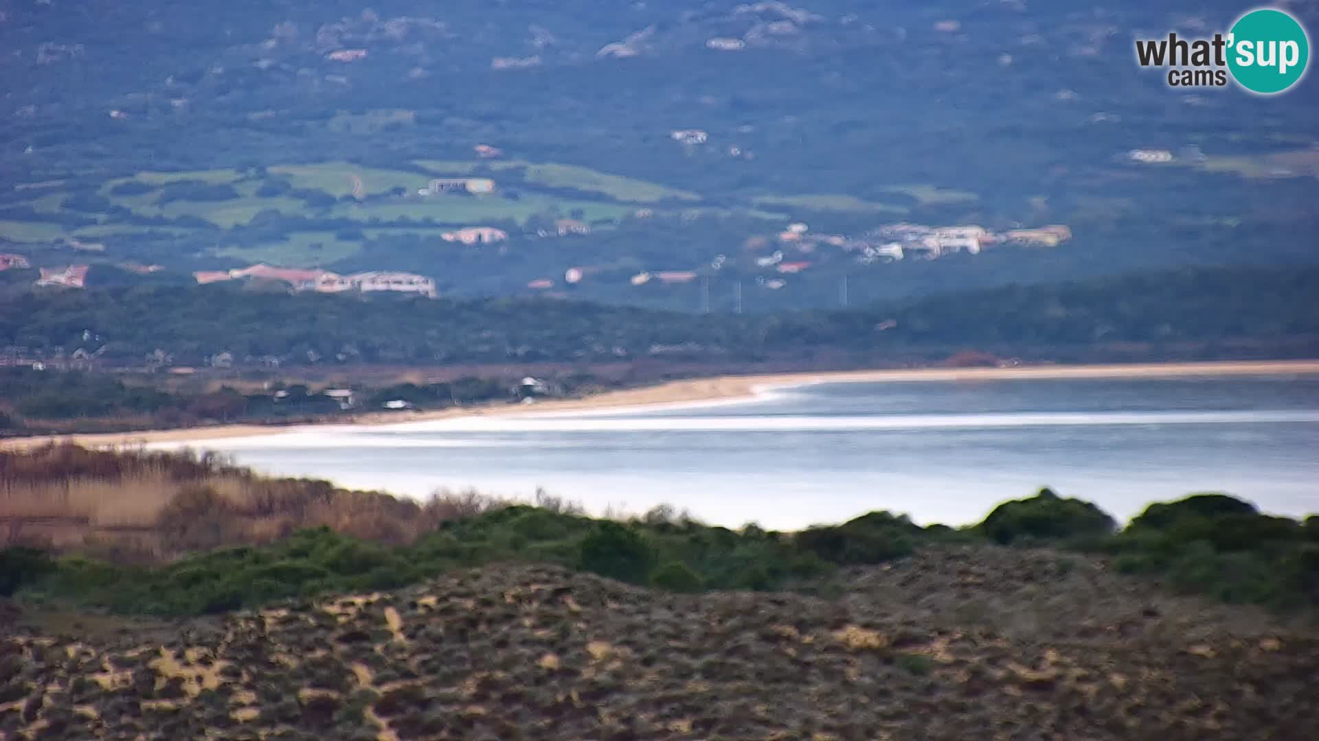 Camera en vivo Porto Pollo playa Cerdeña