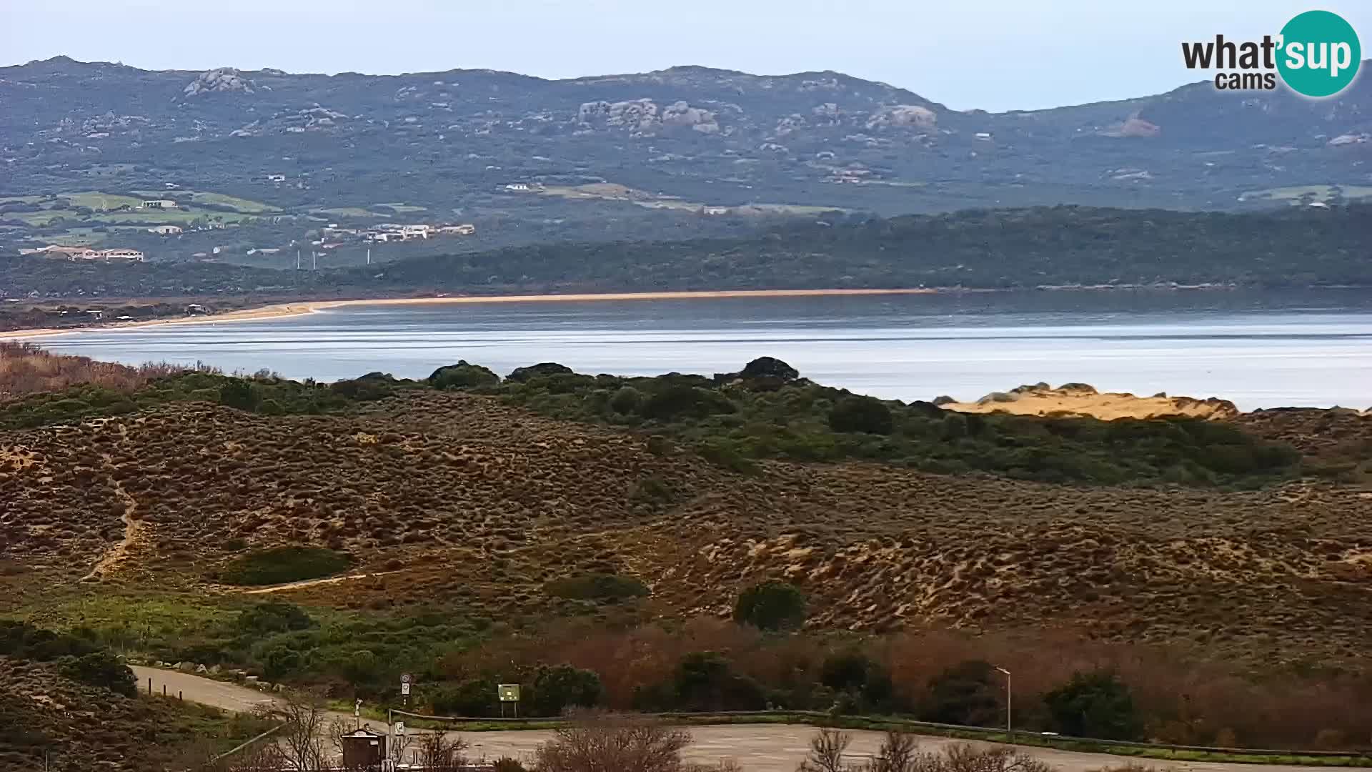 Camera en vivo Porto Pollo playa Cerdeña