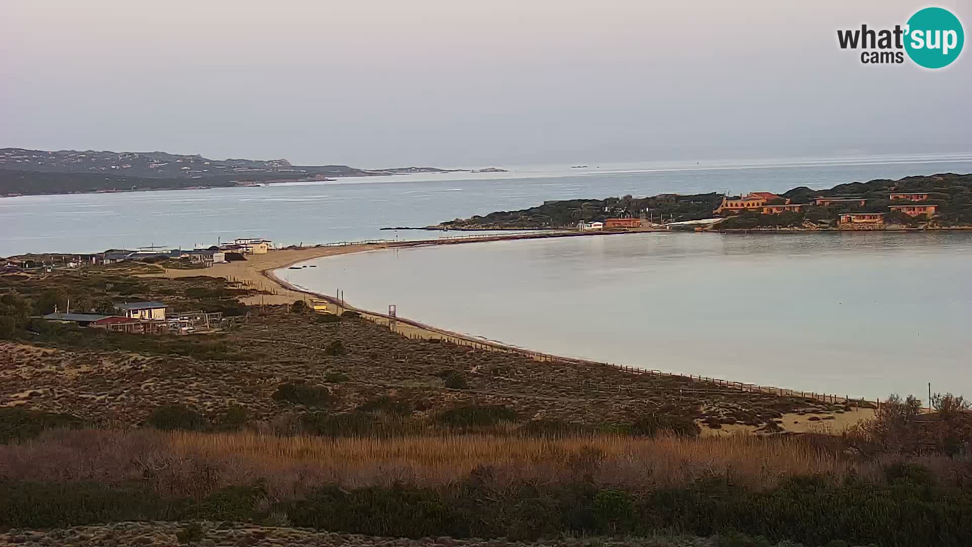 Camera en vivo Porto Pollo playa Cerdeña