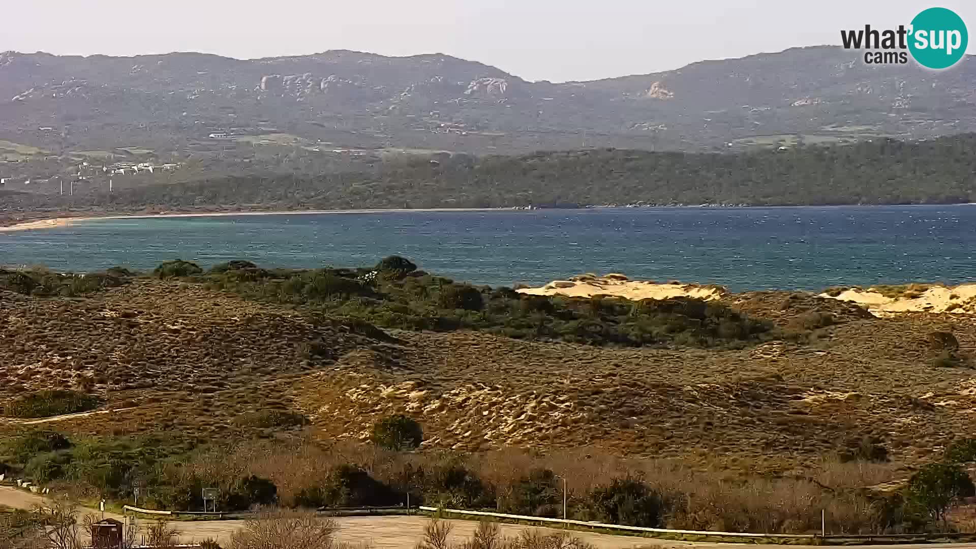 Camera en vivo Porto Pollo playa Cerdeña