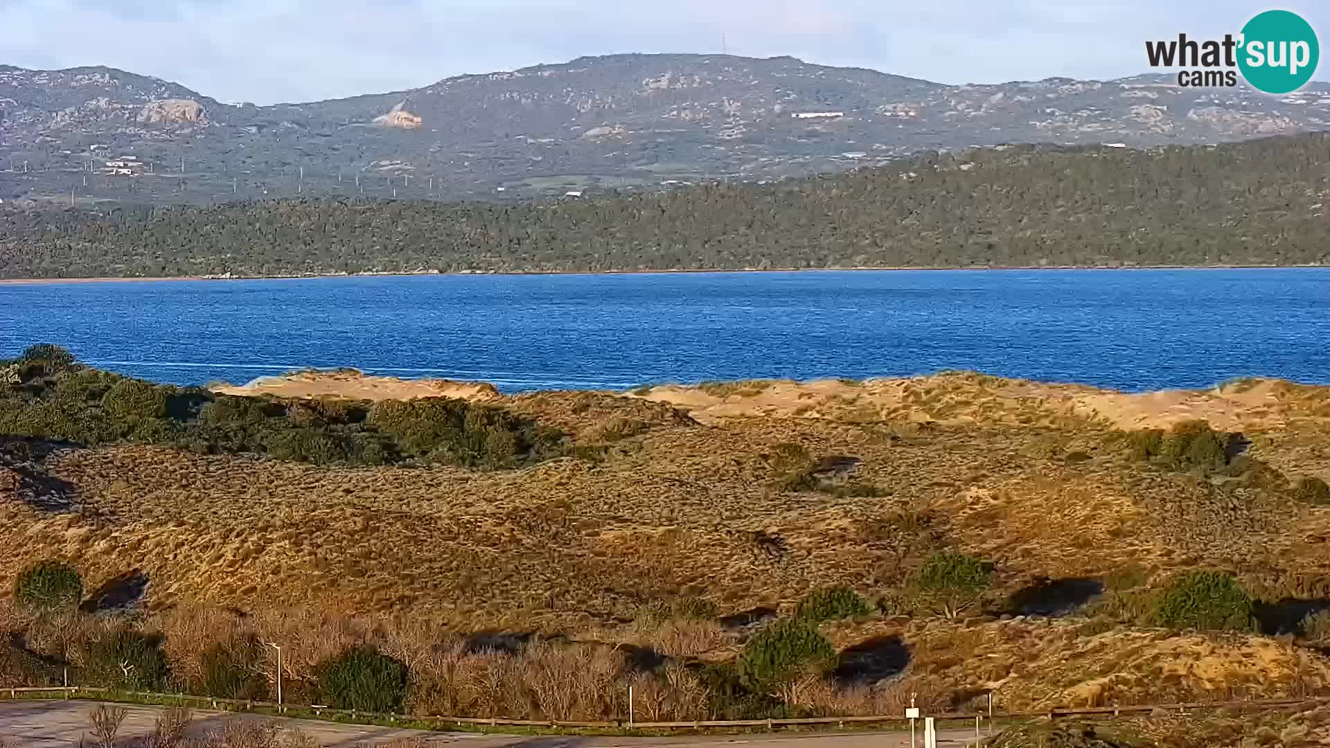 Live webcam Porto Pollo beach | Sardinia