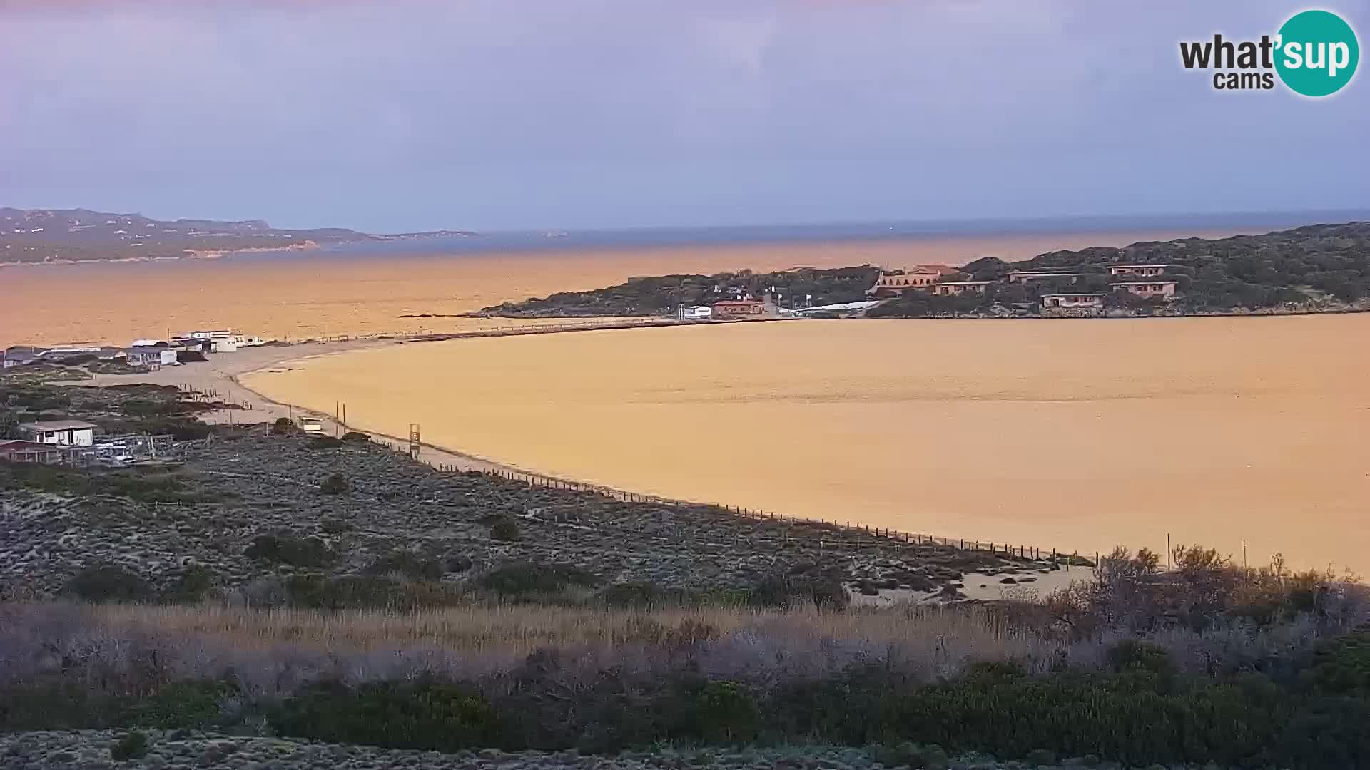 Camera en vivo Porto Pollo playa Cerdeña