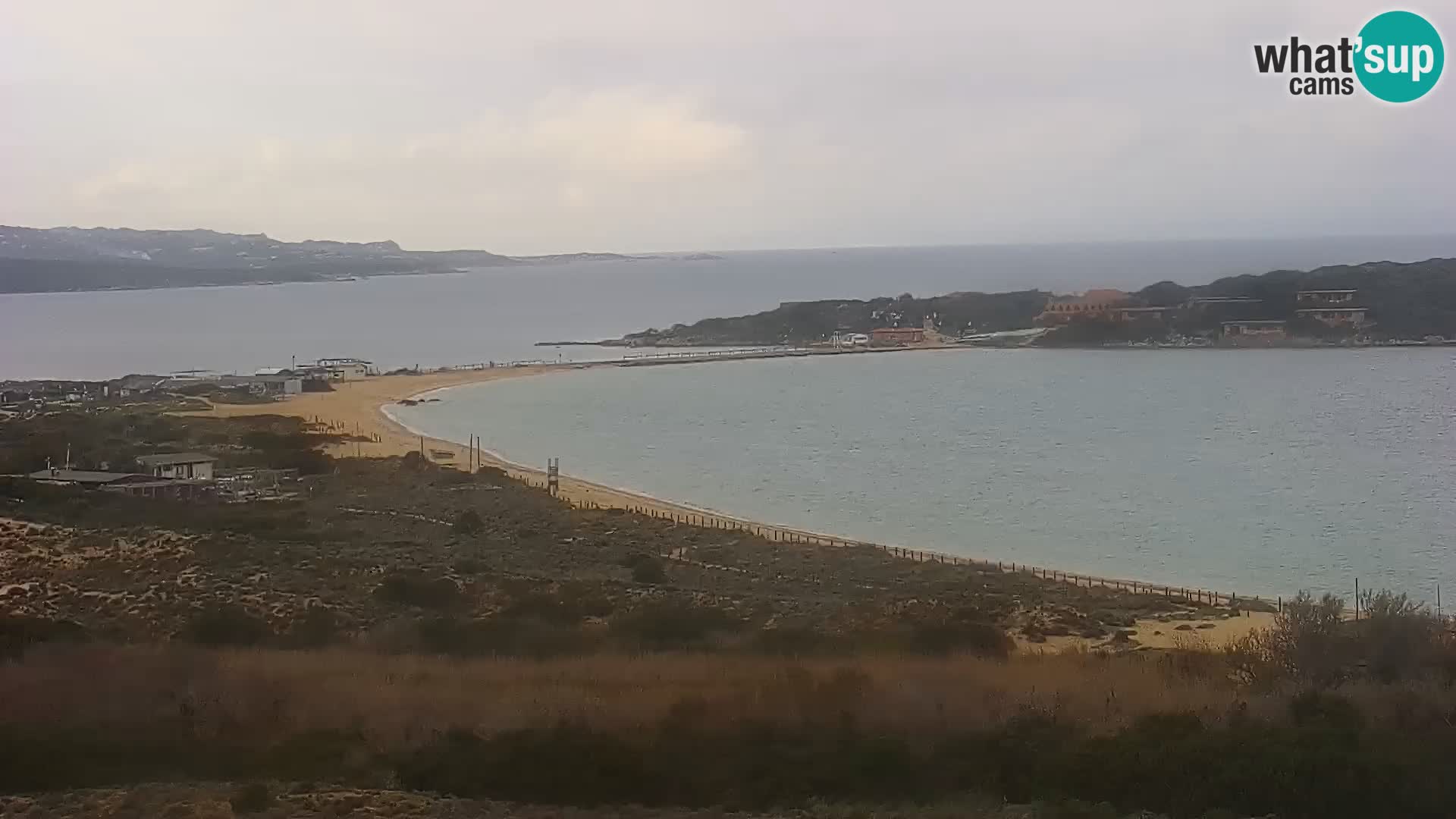 Live webcam Porto Pollo beach | Sardinia