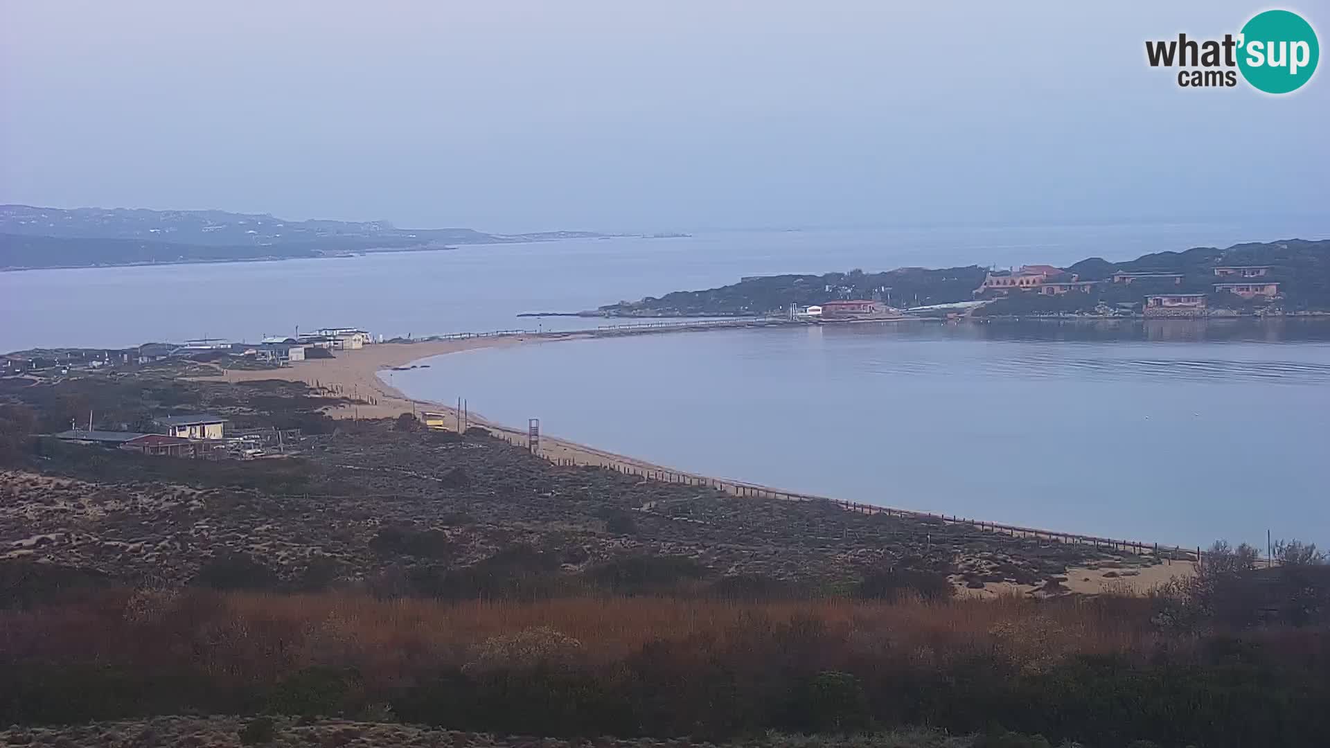 Camera en vivo Porto Pollo playa Cerdeña