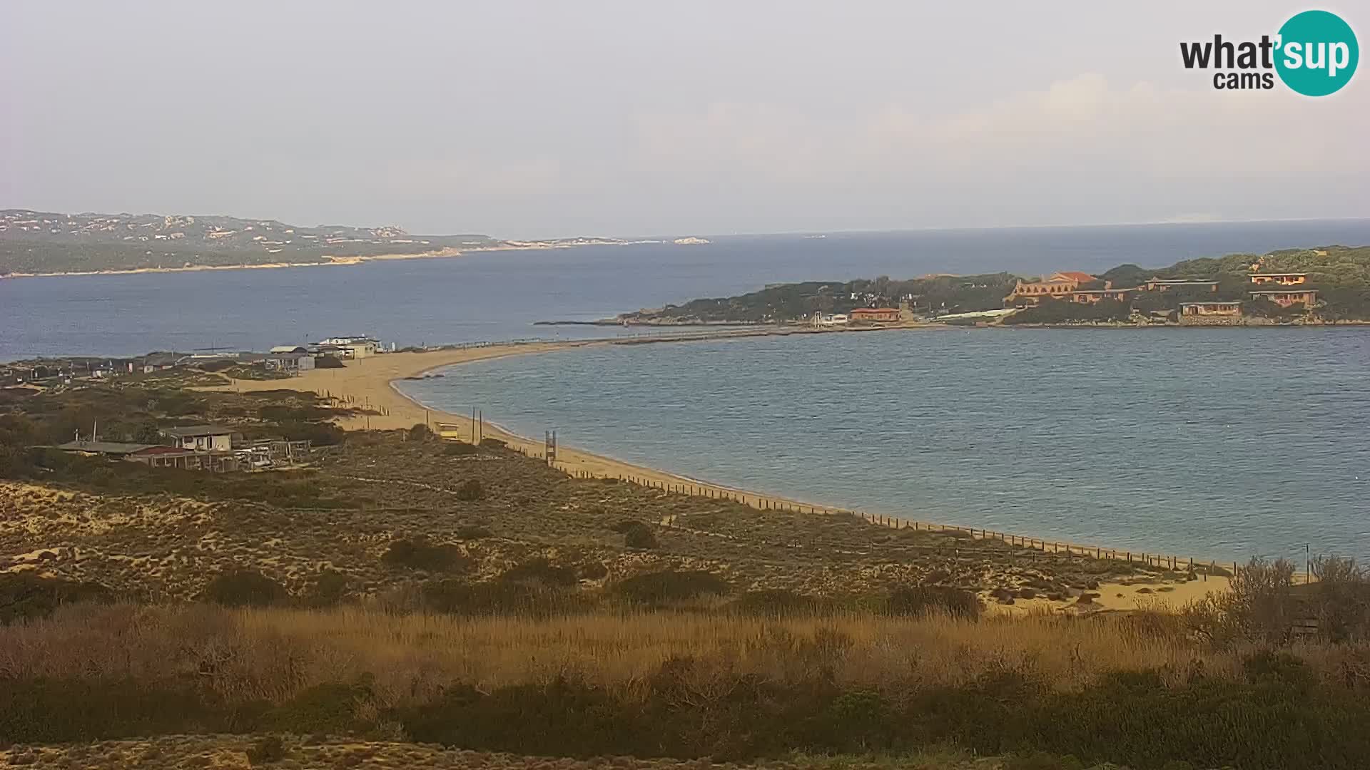 Live webcam Porto Pollo beach | Sardinia