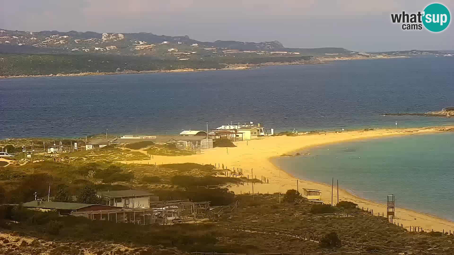 Camera en vivo Porto Pollo playa Cerdeña