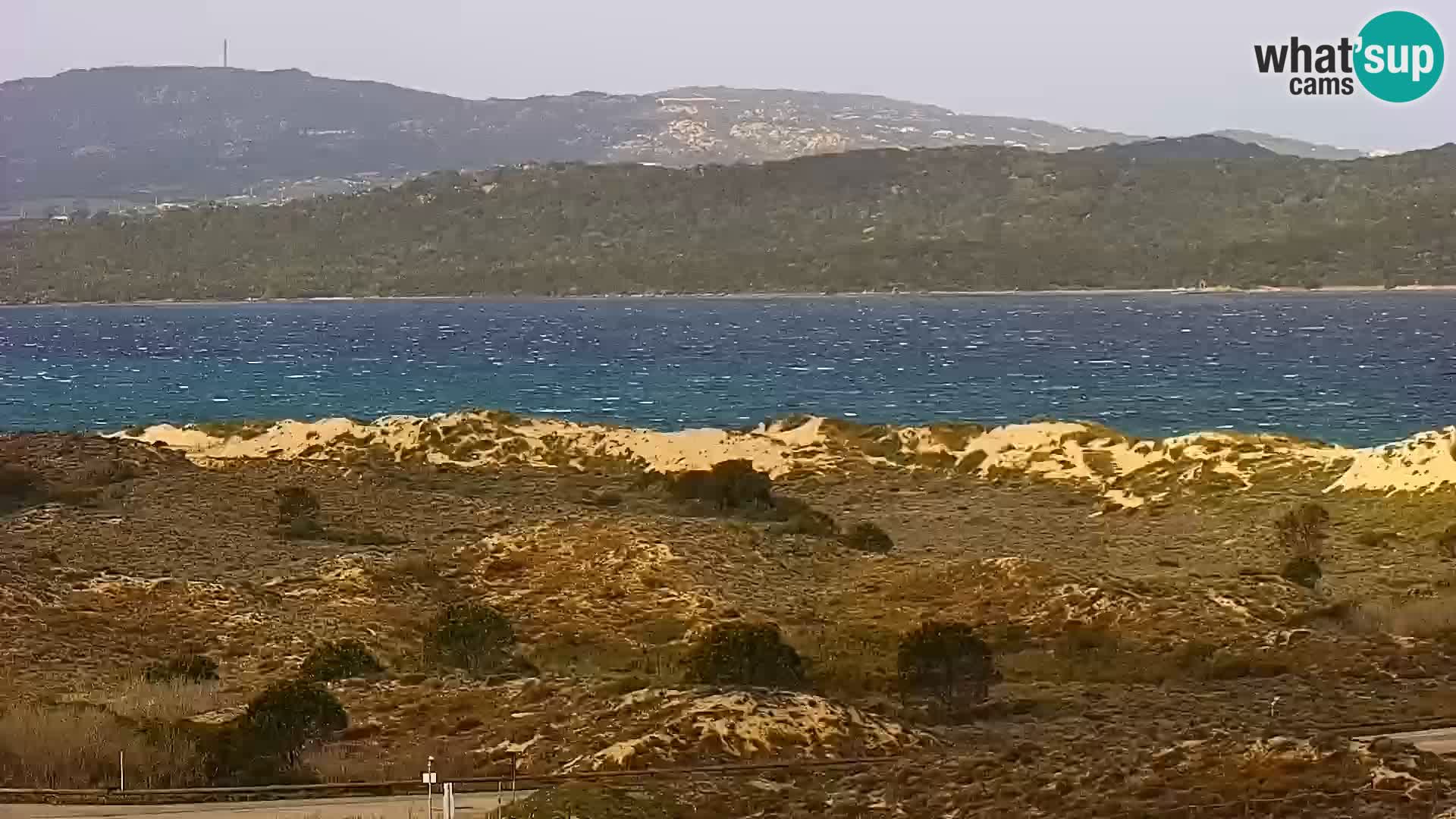 Camera en vivo Porto Pollo playa Cerdeña