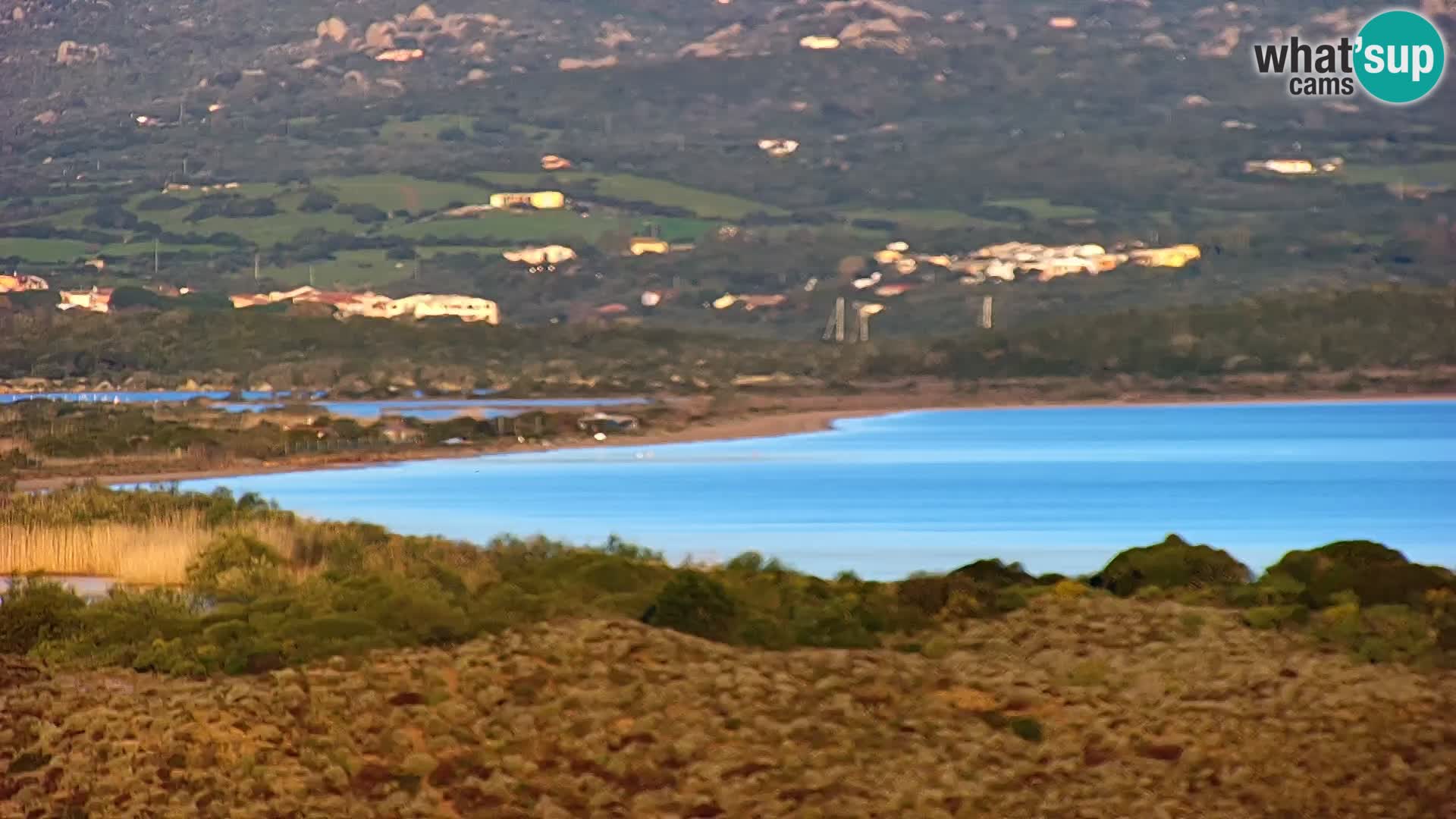 Live webcam Porto Pollo beach | Sardinia