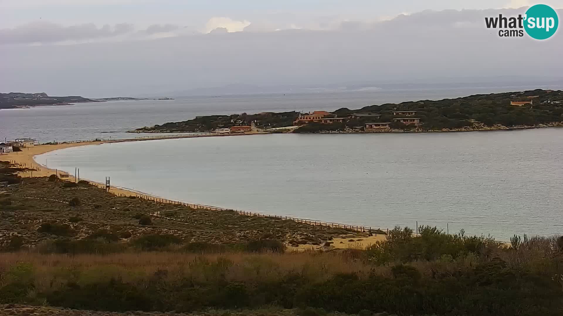 Live webcam Porto Pollo beach | Sardinia