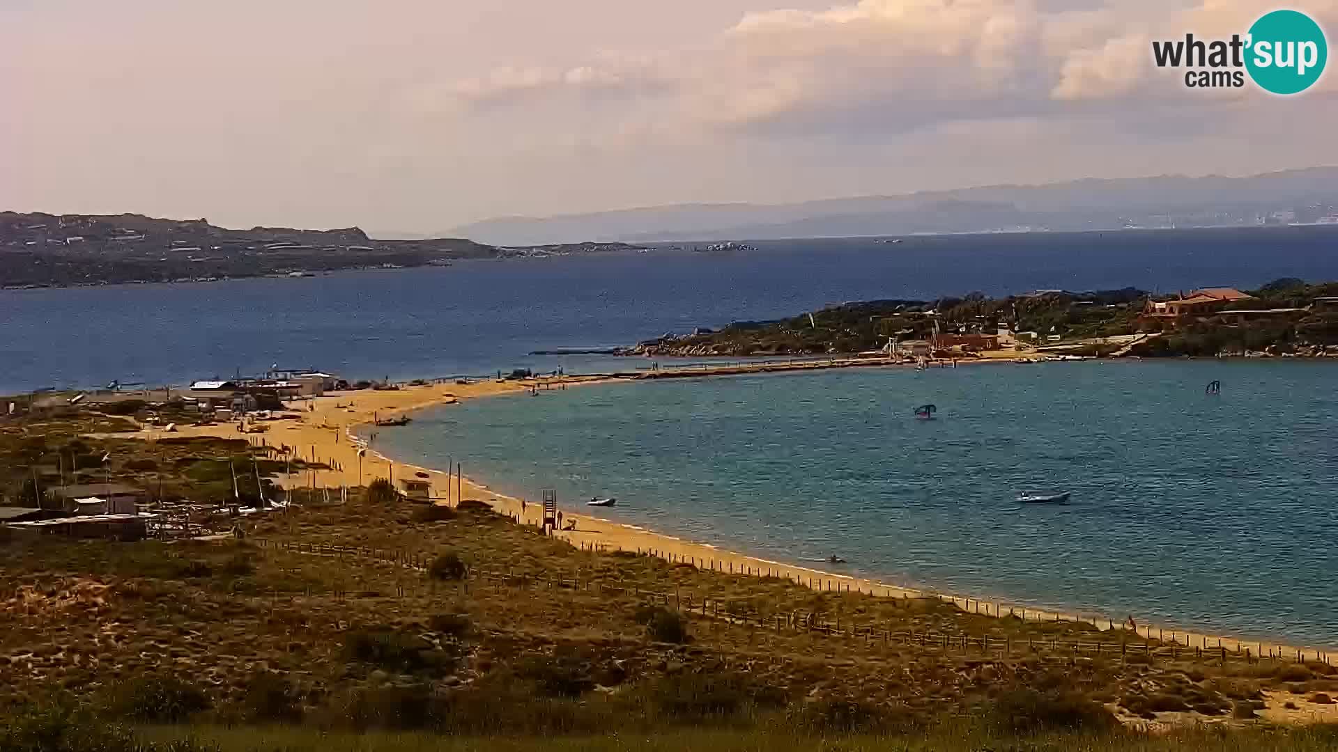 Camera en vivo Porto Pollo playa Cerdeña