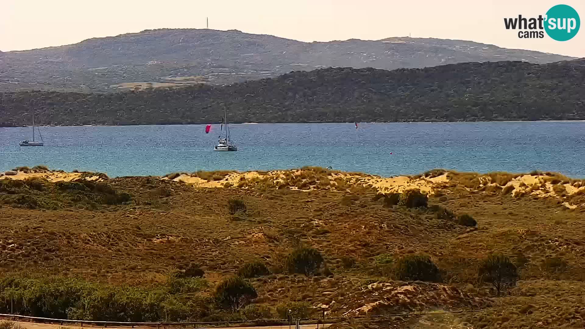 Camera en vivo Porto Pollo playa Cerdeña