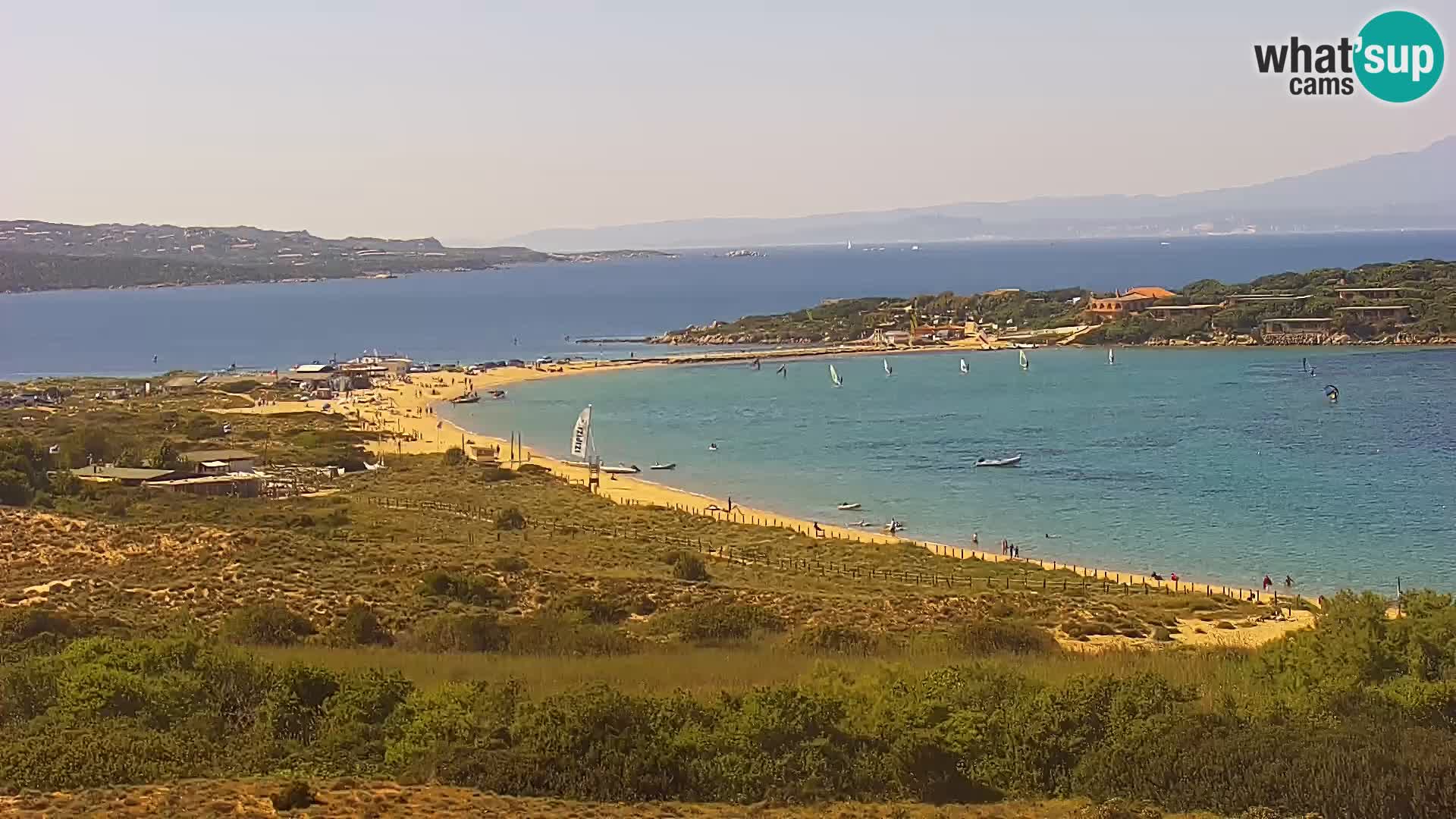 Camera en vivo Porto Pollo playa Cerdeña