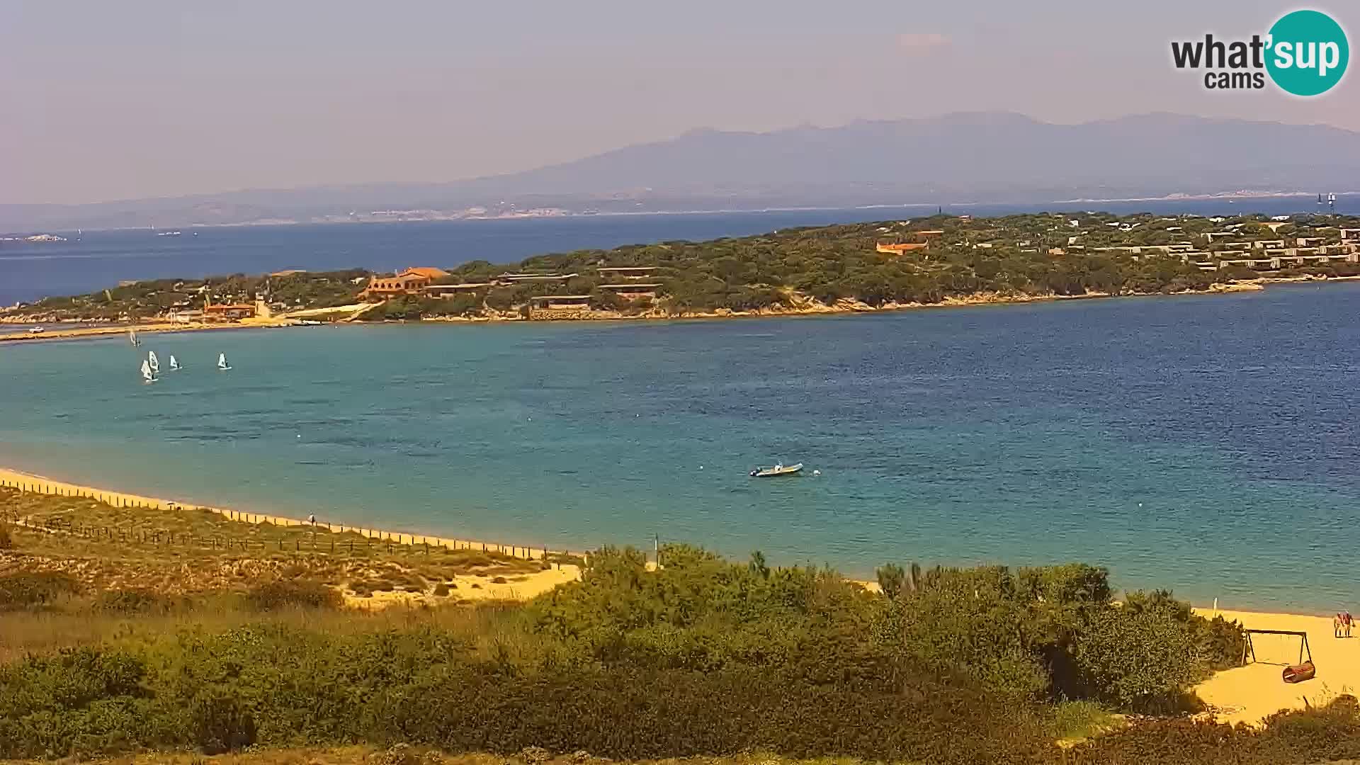 Camera en vivo Porto Pollo playa Cerdeña