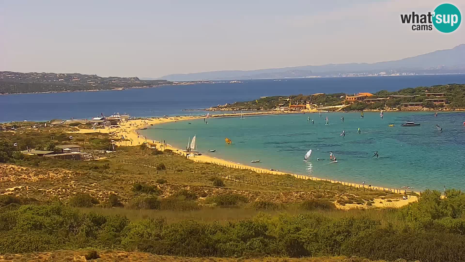 Camera en vivo Porto Pollo playa Cerdeña