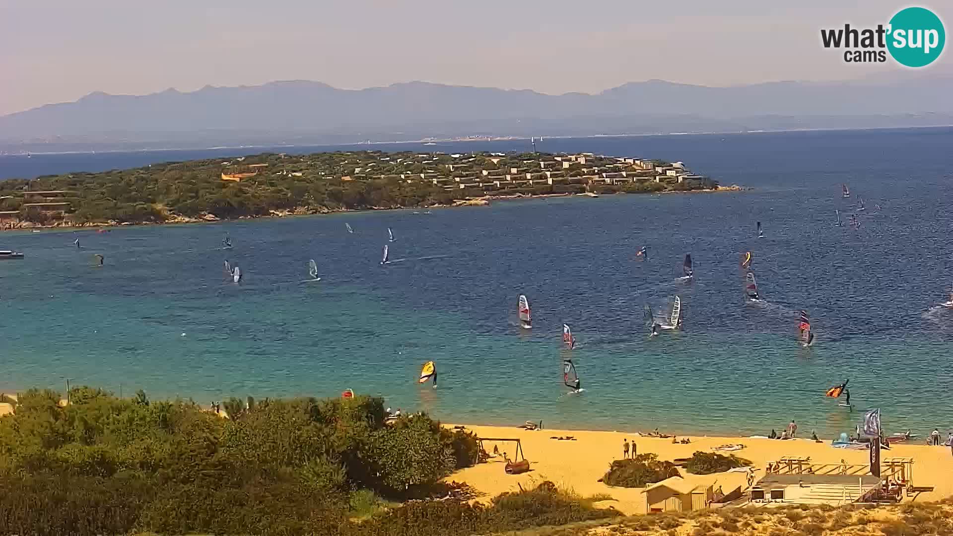 Camera en vivo Porto Pollo playa Cerdeña