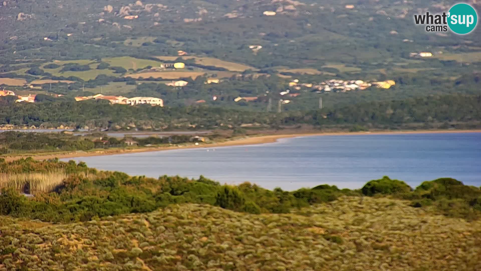 Live webcam Porto Pollo beach | Sardinia