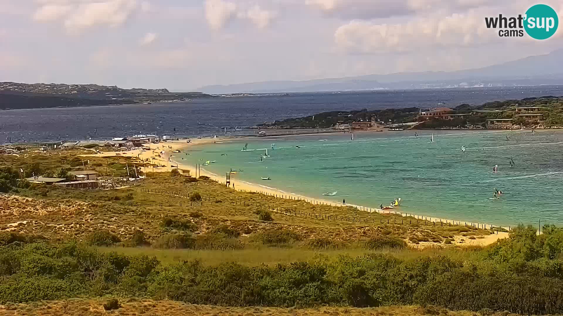 Camera en vivo Porto Pollo playa Cerdeña
