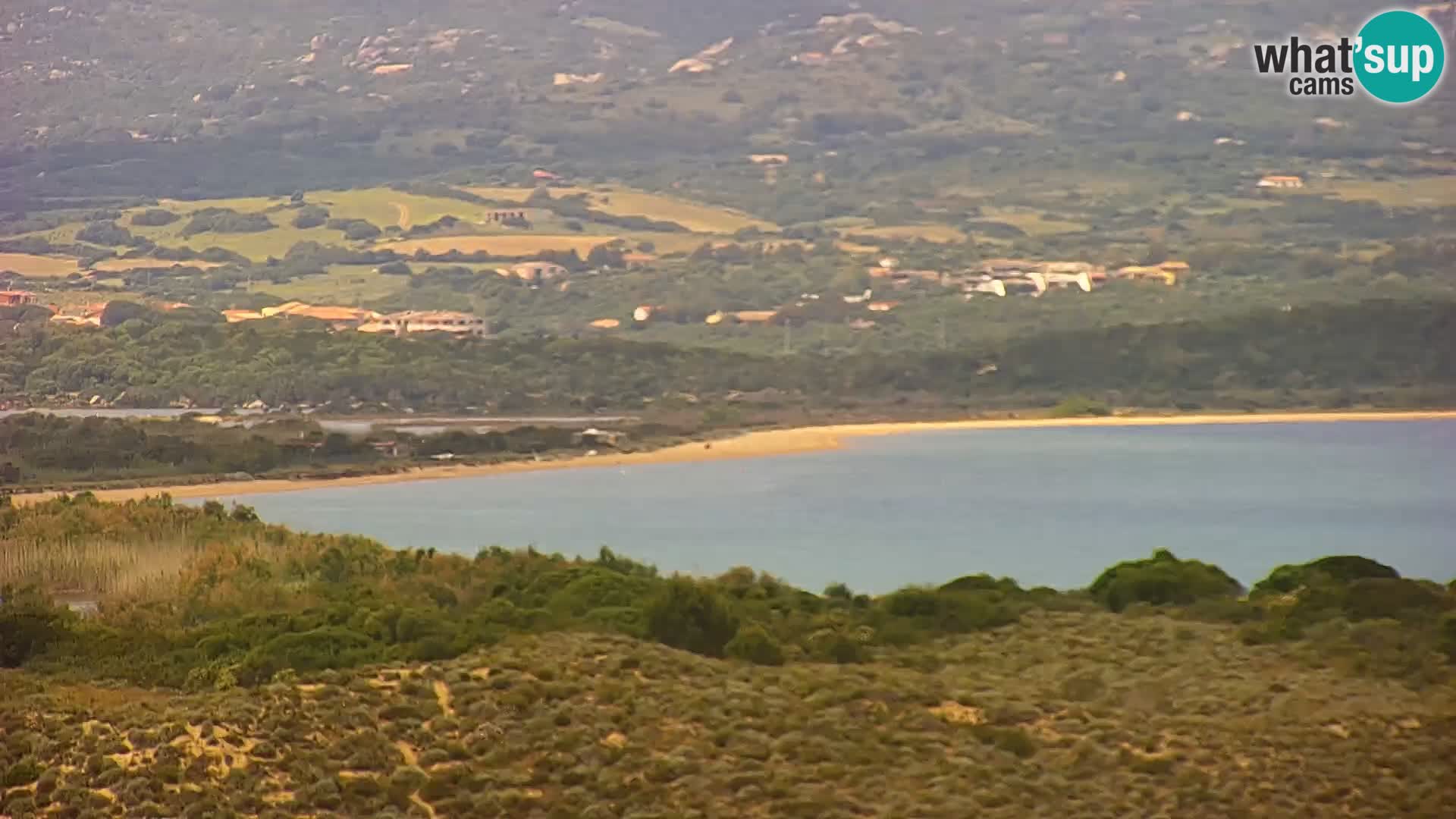 Camera en vivo Porto Pollo playa Cerdeña