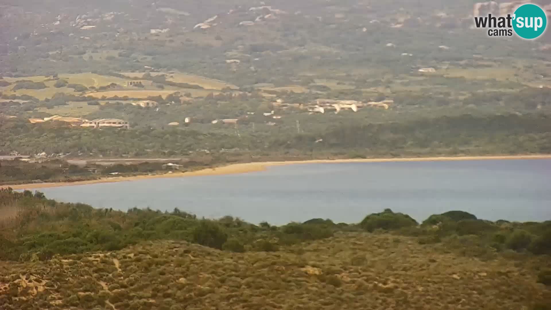 Camera en vivo Porto Pollo playa Cerdeña
