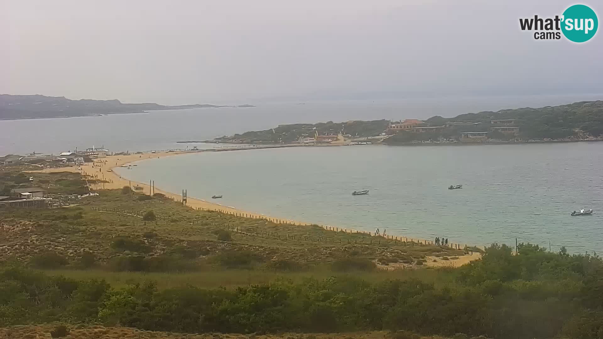 Camera en vivo Porto Pollo playa Cerdeña